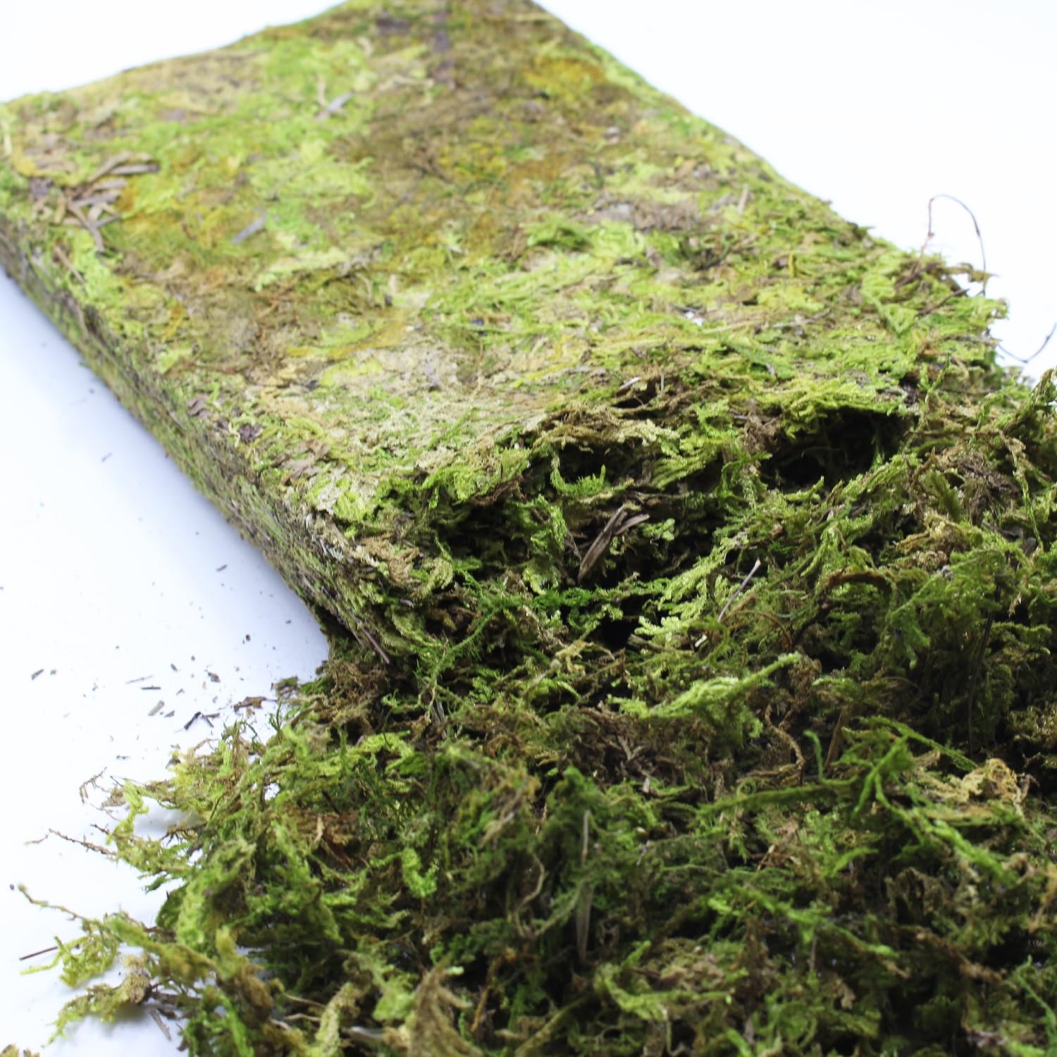 DoubleWood Natural Forest Moss for Small Pets, 5.2 oz Artificial Moss, Decorative Bedding and Nesting Material for Hamsters, Gerbils, Mice, Degus or