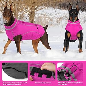 Doglay Waterproof Dog Coat, Reflective Dog Winter Jacket with Pocket & Turtleneck, Warm Puppy Snow Jacket for Small Medium Large Dogs - Pink, M