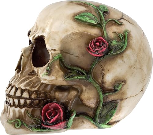 Miniatura 8 de Readaeer - Estatua de resina de calavera humana, esculturas de cabeza de tamaño pequeño, figuras coleccionables de calavera