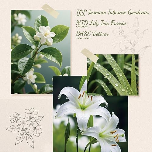 Miniatura 2 de Difusor de varillas de 6.09 onzas, difusor de aroma de lirio de jazmín con palos y flores secas, difusor de caña de 120 días de larga duración para