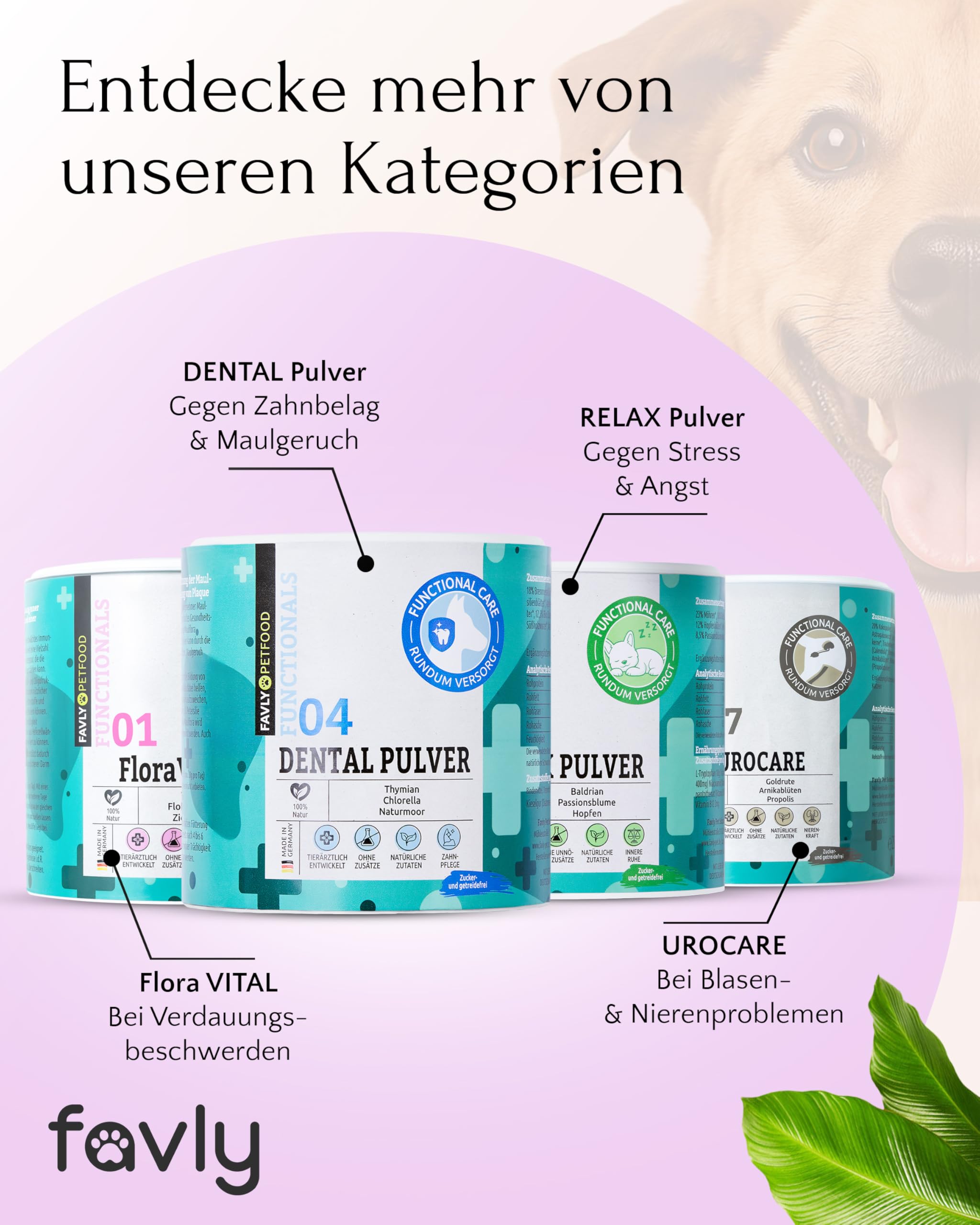 FAVLY – ZecOFF Zeckenschutz 50ml für Hunde ab 2kg – Spot-On gegen Zecken, Flöhe & Mücken – pflanzlich basiertes Zeckenmittel mit Saltidin, Neemöl, Eukalyptus, Geraniol – Zeckenabwehr ohne Nervengift