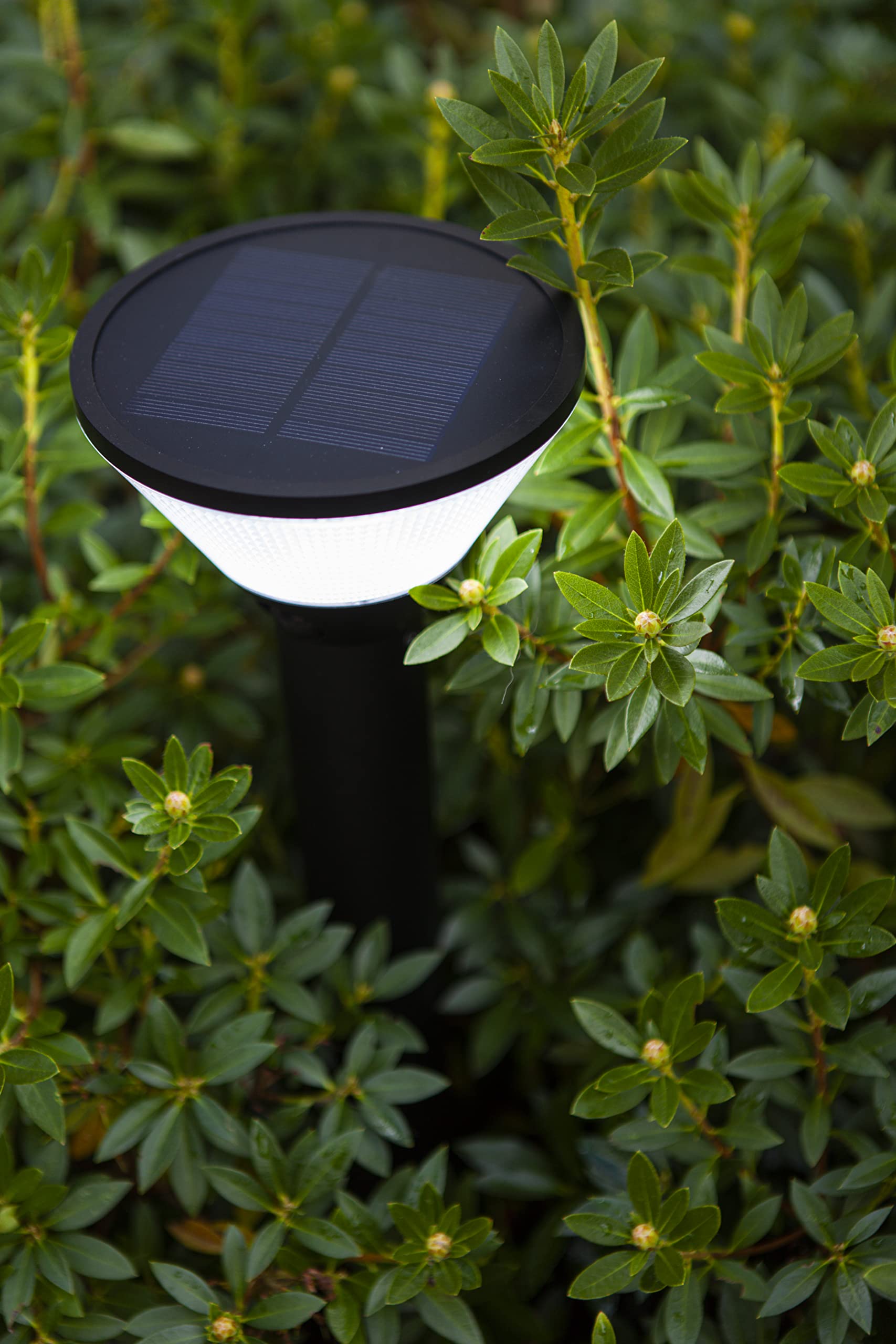 Lampa czołowa wspinaczkowa Tune reflektor lampa zewnętrzna jazda konna kemping 5 LED powiększenie samoloty długodystansowe na głowie zamontowane reflektory (kolor: nieocusable)