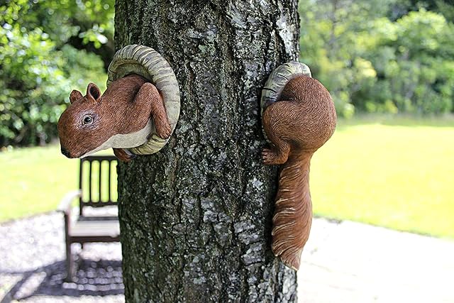 garden mile® Novelty Red Squirrel Garden Animal Tree Peeker Novelty Outdoor Garden Ornament Garden Tree Decoration Garden Sculpture Lawn Statues Home Decor.