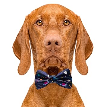 Cutie Ties AstroPet Space Planet Dog Bow Tie