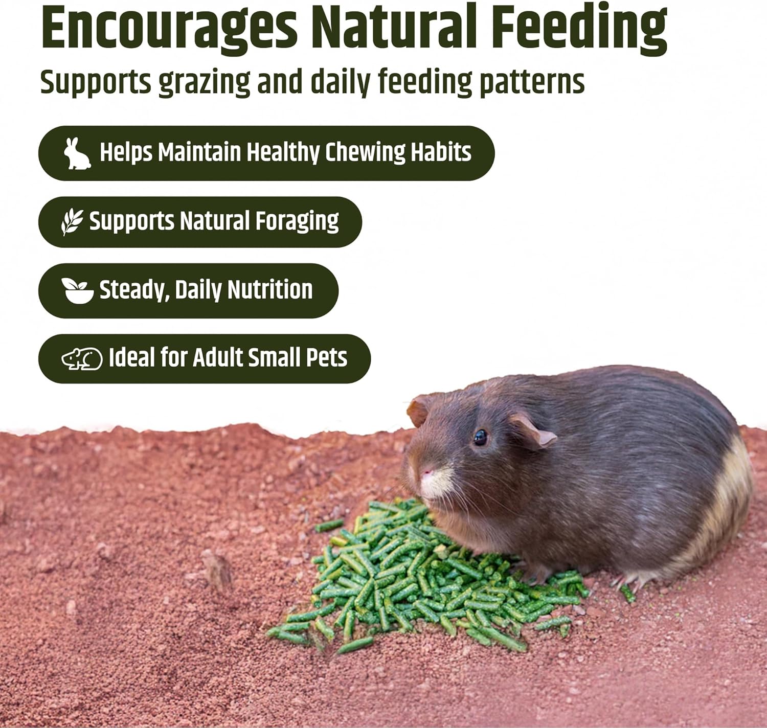 High Desert Timothy Hay Pellets for Small Pets, Natural Timothy Pellets for Daily Feeding, Rabbits, Chinchillas and Guinea Pigs Food, Balanced Fiber for Digestive Health, Small Pet Supplies, 63 oz Bag