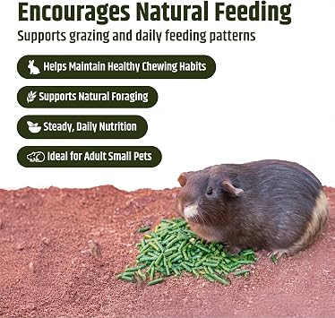 High Desert Timothy Hay Pellets for Rabbits, Guinea Pigs, Small Pets, 63 oz