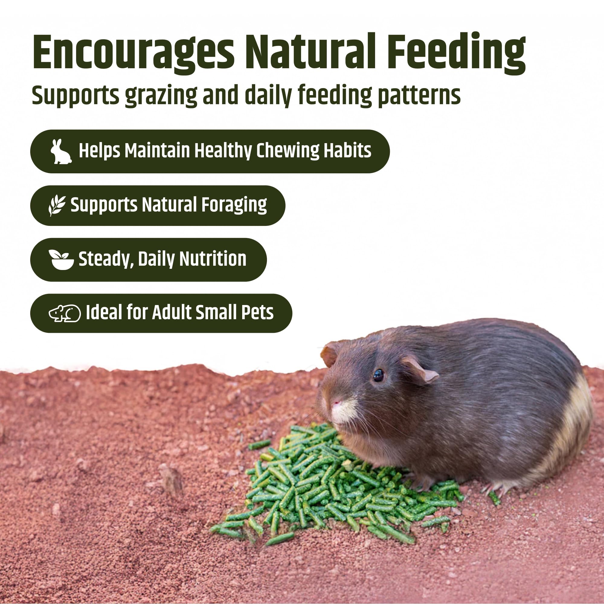 High Desert Timothy Hay Pellets for Small Pets, Natural Timothy Pellets for Daily Feeding, Rabbits, Chinchillas and Guinea Pigs Food, Balanced Fiber for Digestive Health, Small Pet Supplies, 31 oz Bag - image 3