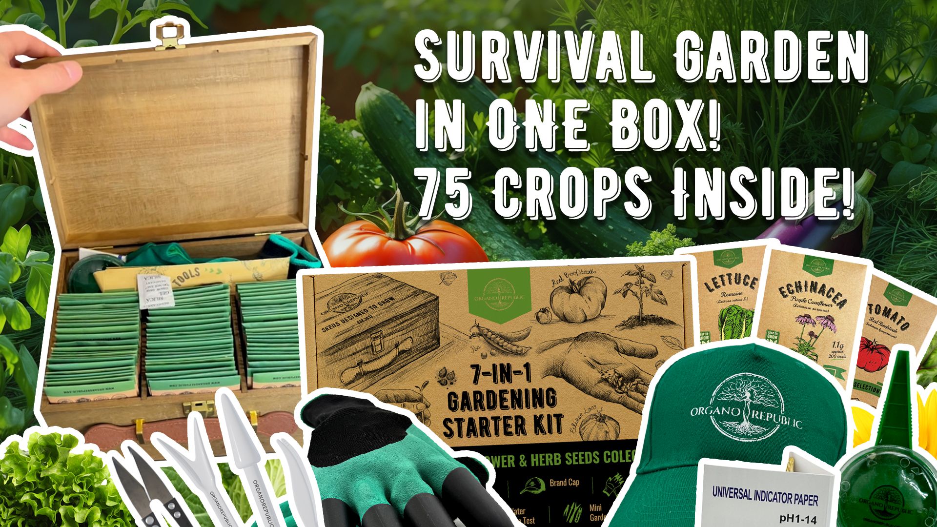 75 Variety Vegetable & Greens Seeds Pack - Non-GMO Heirloom, Over 44,700 Seeds, Gardening Starter Kit With QR Guides