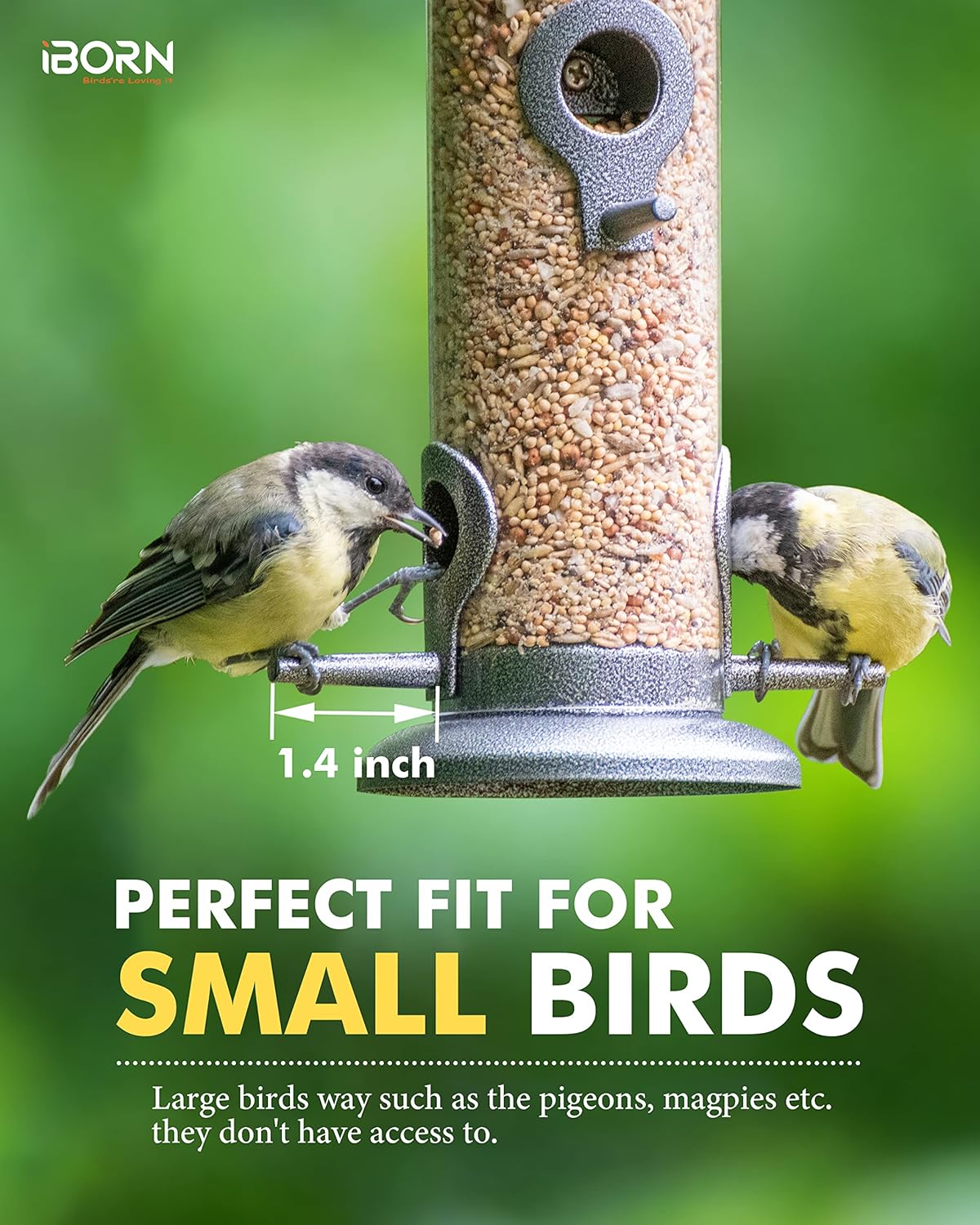 iBorn Metal Bird Feeder Hanging Wild Bird Seed Feeder for Mix Seed Blends Heavy Duty All Metal Silver Finish,15 Inch 6 Port(Seed is not Included),Gift Box