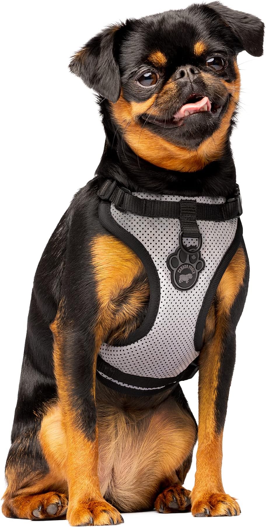 Canada Pooch Everything No Pull Dog Harness - Easy Walk Harness for Dogs with Breathable Mesh Exterior, Adjustable Dog Walking Harness Great for Dogs Reflective/S