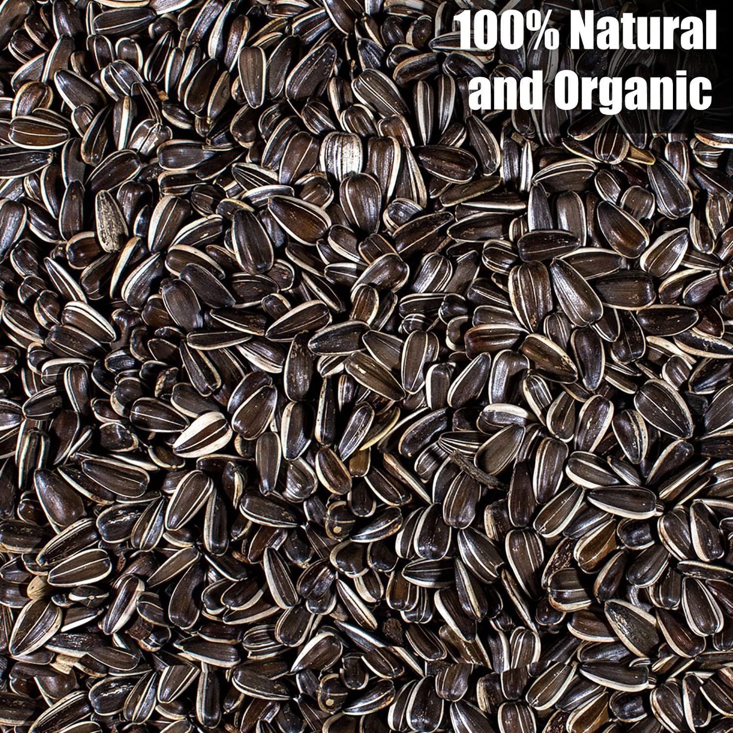 Old Potters Wildlife Striped Sunflower Seed for Wildlife Bird Feeding, Non-GMO and USA Small Farm Grown, 6 lbs