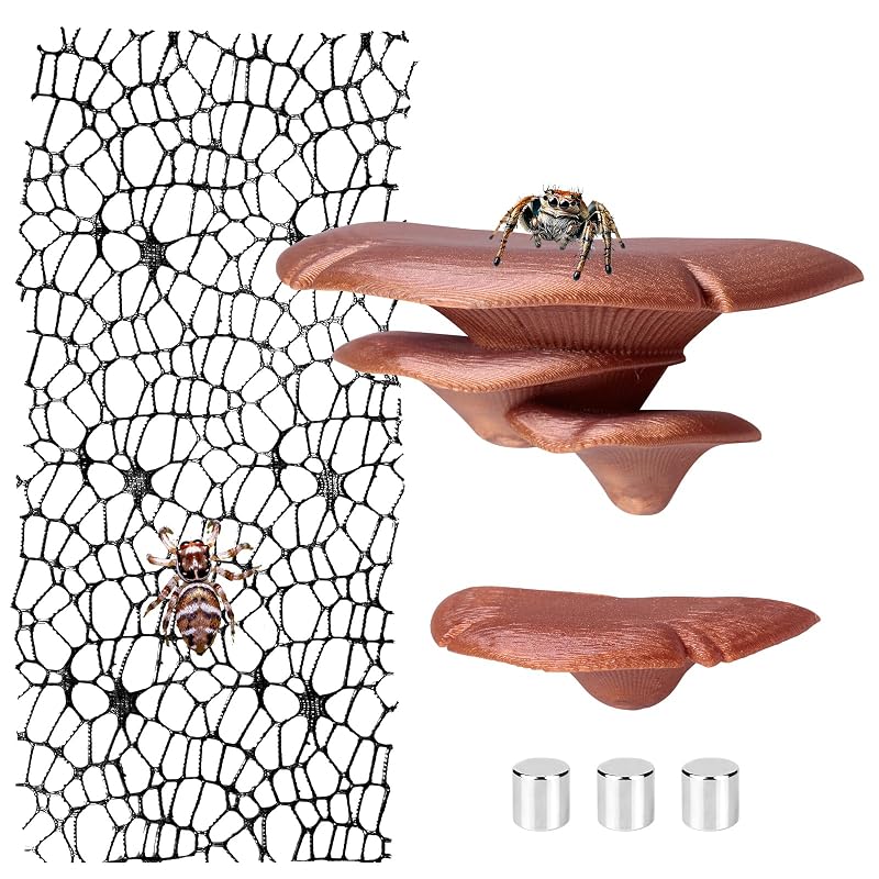 Acessórios para habitat de aranha saltadora Cynailli com prateleiras de cogumelo e faixa de musgo preto, conjunto com 2 prateleiras, 1 faixa e 3 ímãs