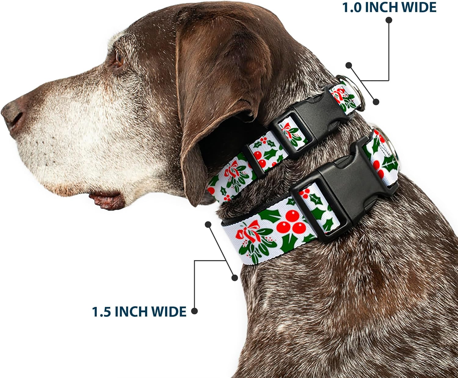 Buckle-Down 16-23" Holly & Mistletoe Plastic Clip Collar, Wide Medium
