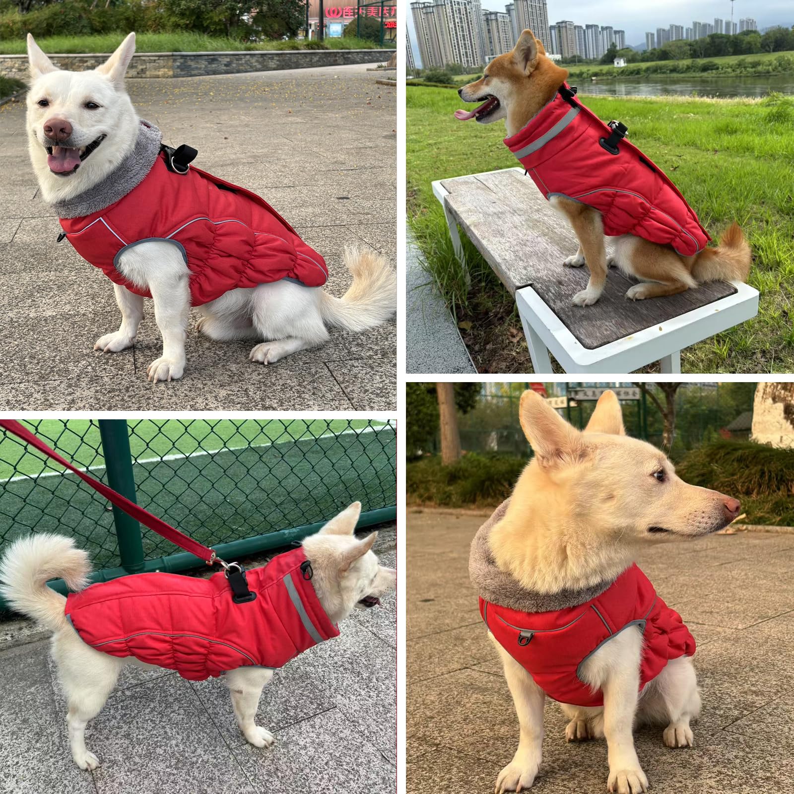 Malier Abrigo de invierno para perro (rojo, mediano)