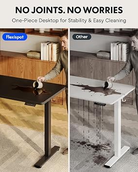 FLEXISPOT EN1 40x24 One-Piece Standing Desk, Black (Black Frame)