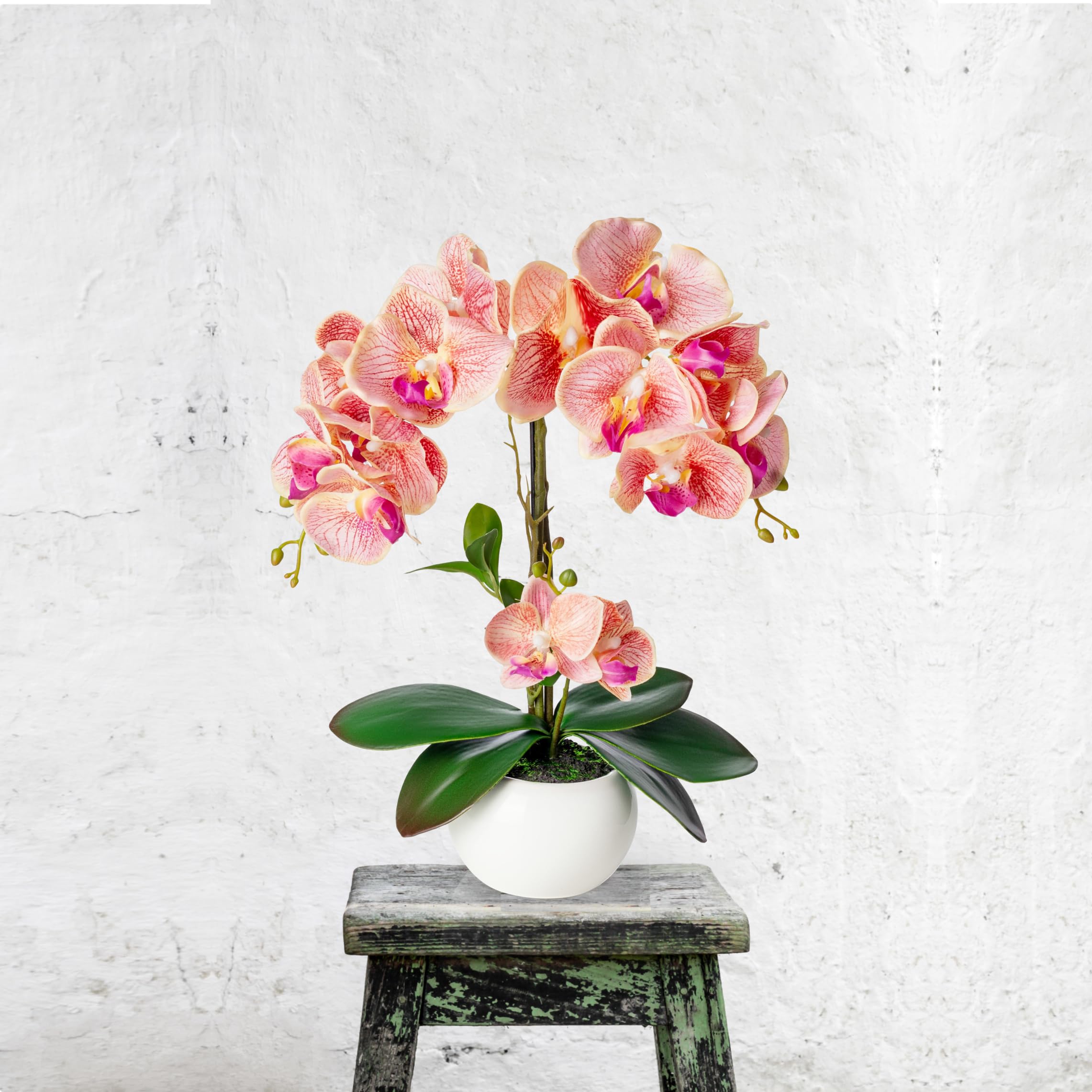 PASCH Orquídeas Artificiales en Maceta de Cerámica Brillante (40 cm) | Flores Artificiales Como las Reales