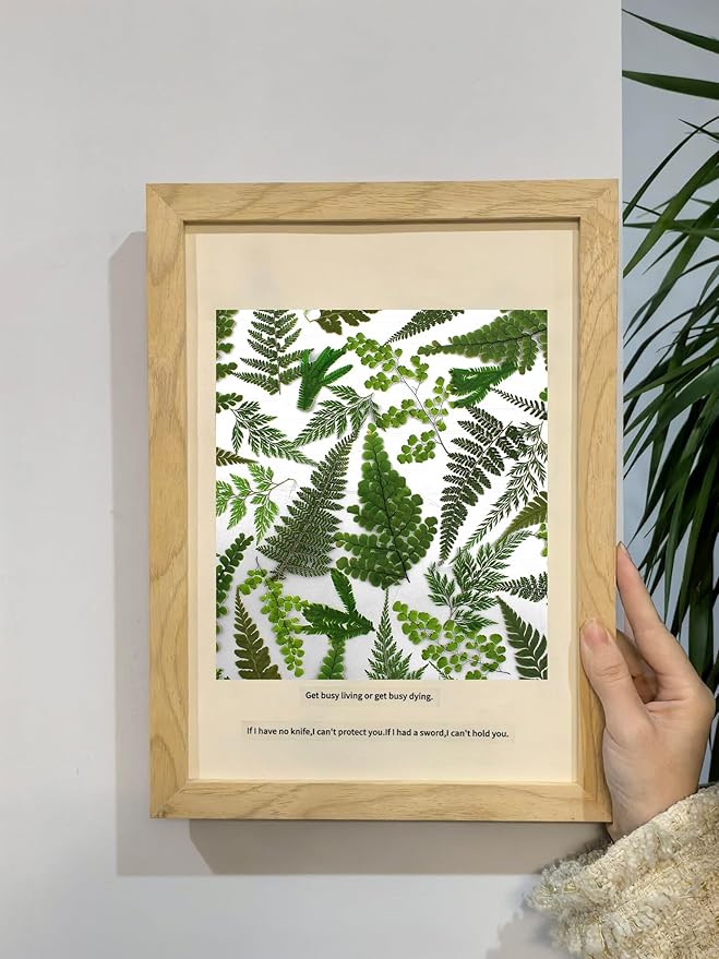 55 Hojas de Helecho Verdes Prensadas para Manualidades miniatura 2