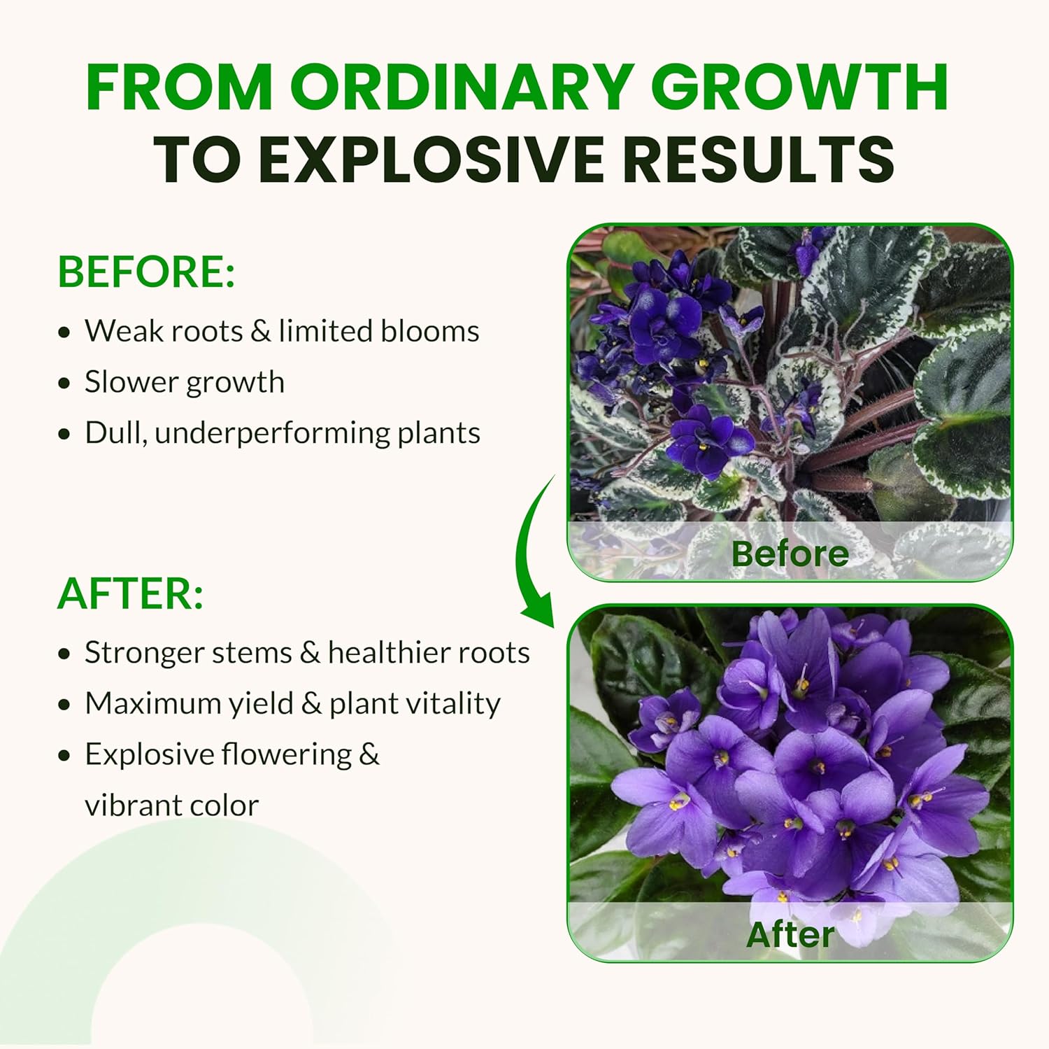 Humboldts Secret Monopotassium Phosphate 0-52-34 | MKP Fertilizer Bloom Booster for Flowers, Fruits & Vegetables | High Purity Water Soluble Phosphorus and Potassium Plant Food | 2 lb