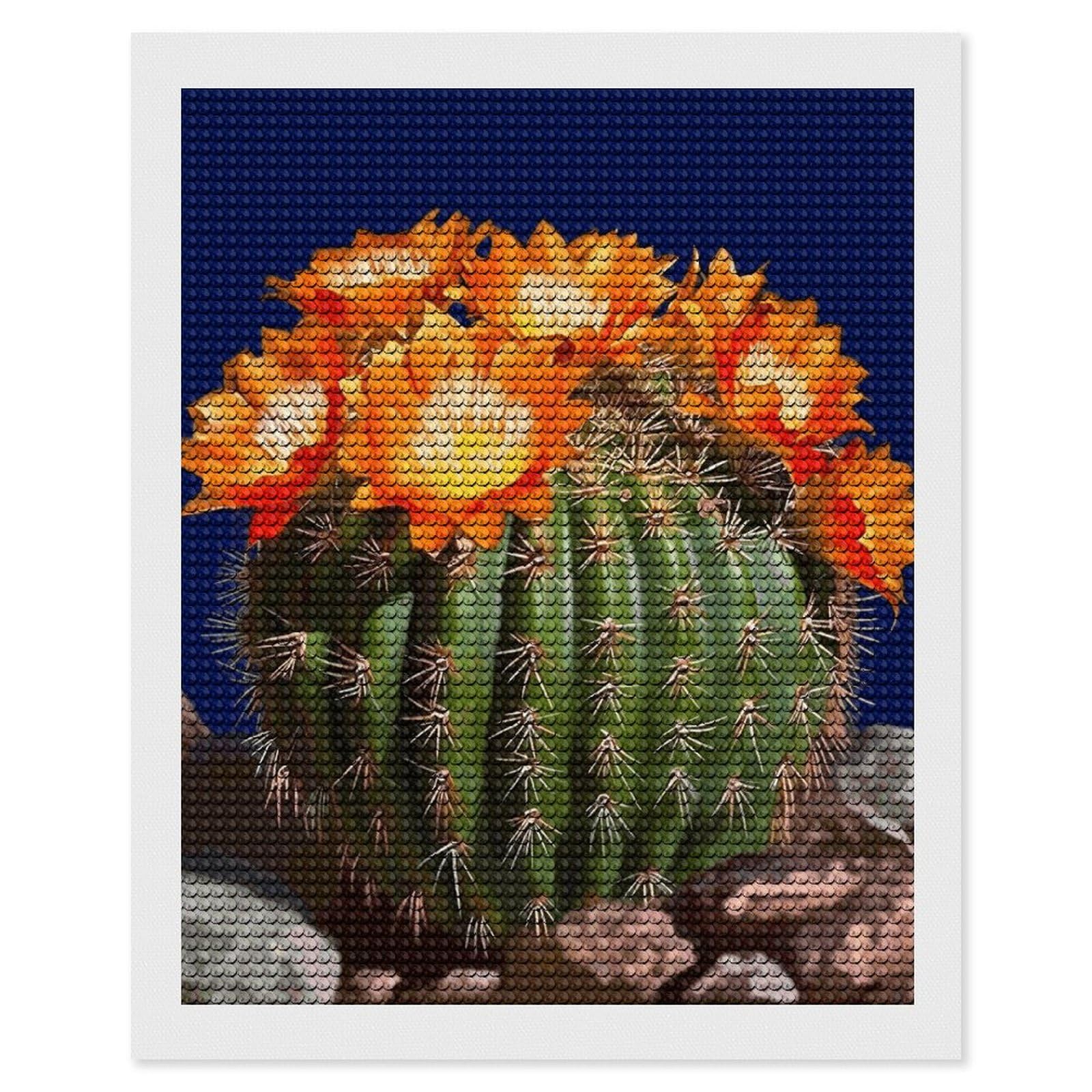 Diamond Painting Kits for Adults - DIY Diamond Art Kits for Beginners - Full 5D Paint Drill Diamond Dots Paintings- Blooming Barrel Cactus Diamonds Pictures Gem Art And Craft Wall Decor 16"x20"