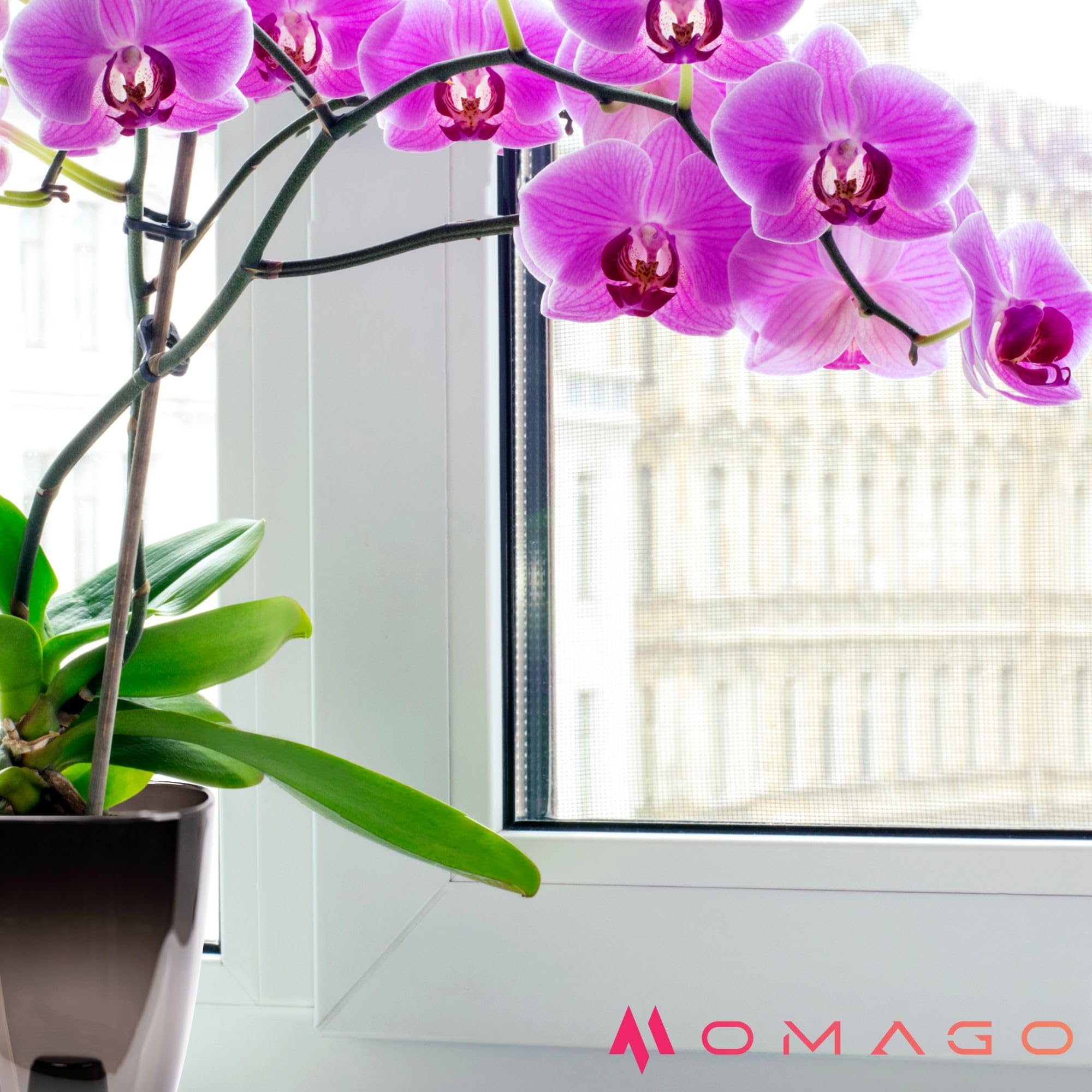 OMAGO® Zestaw 3 półtransparentnych osłonek na storczyka 12 cm, eleganckie grafitowe doniczki do wnętrz, czarne osłony do storczyków i roślin domowych