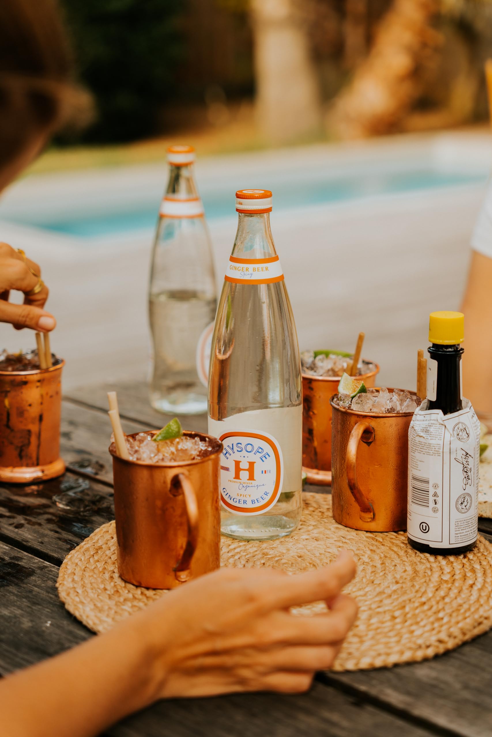 HYSOPE Ginger Beer Spicy – Origine France – Premium Mixer Bio – Idéal en cocktail - Notes de gingembre corsé & pointe de piment - 6 x 75cl