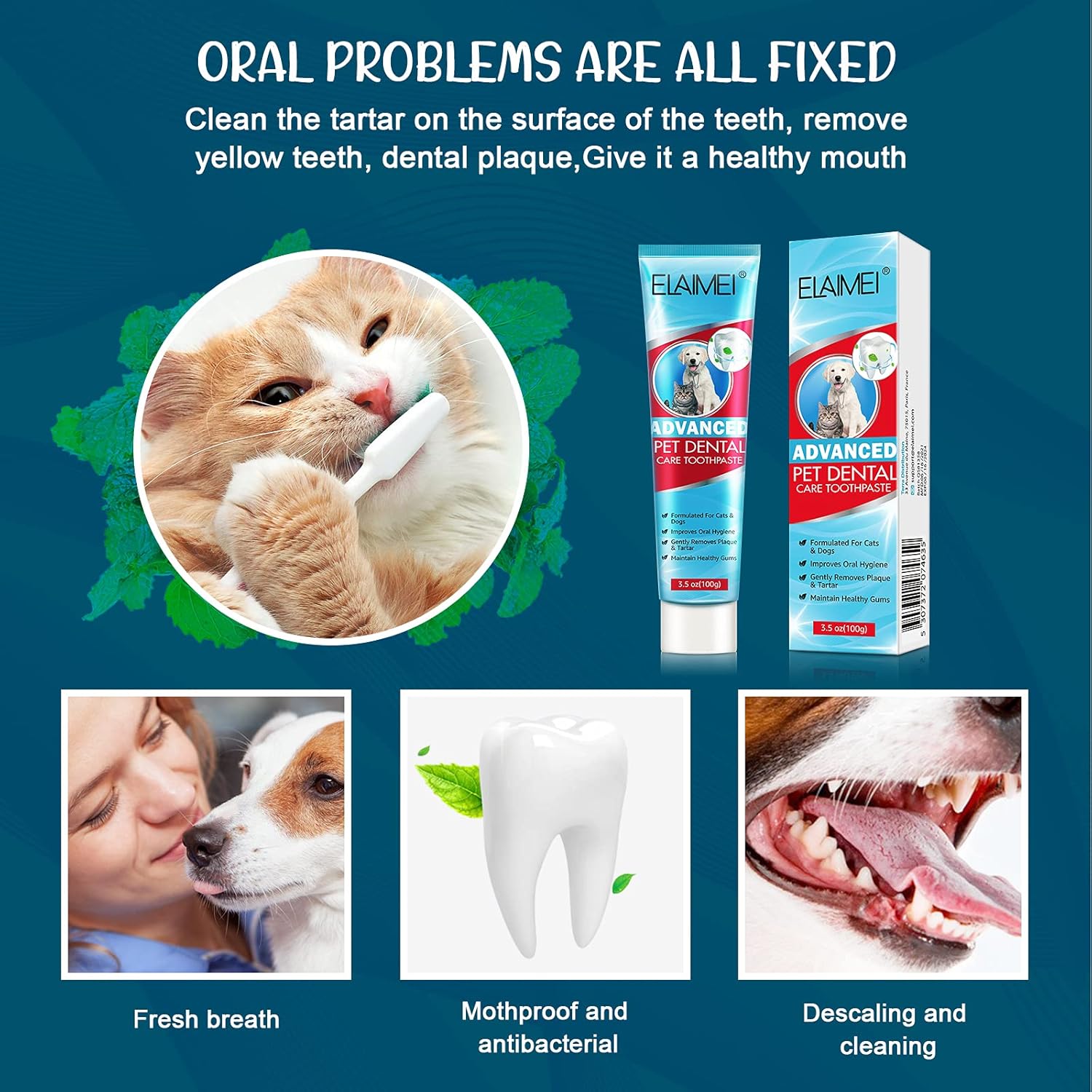 Dog Toothpaste and Brush Set, Fresh Breath Dental Kit for Pets Dog Toothpaste Mint Teeth Cleaning for Dogs and Puppy Dog Teeth Cleaning Kit (Dog Toothpaste with 3 Brush) : Pet Supplies