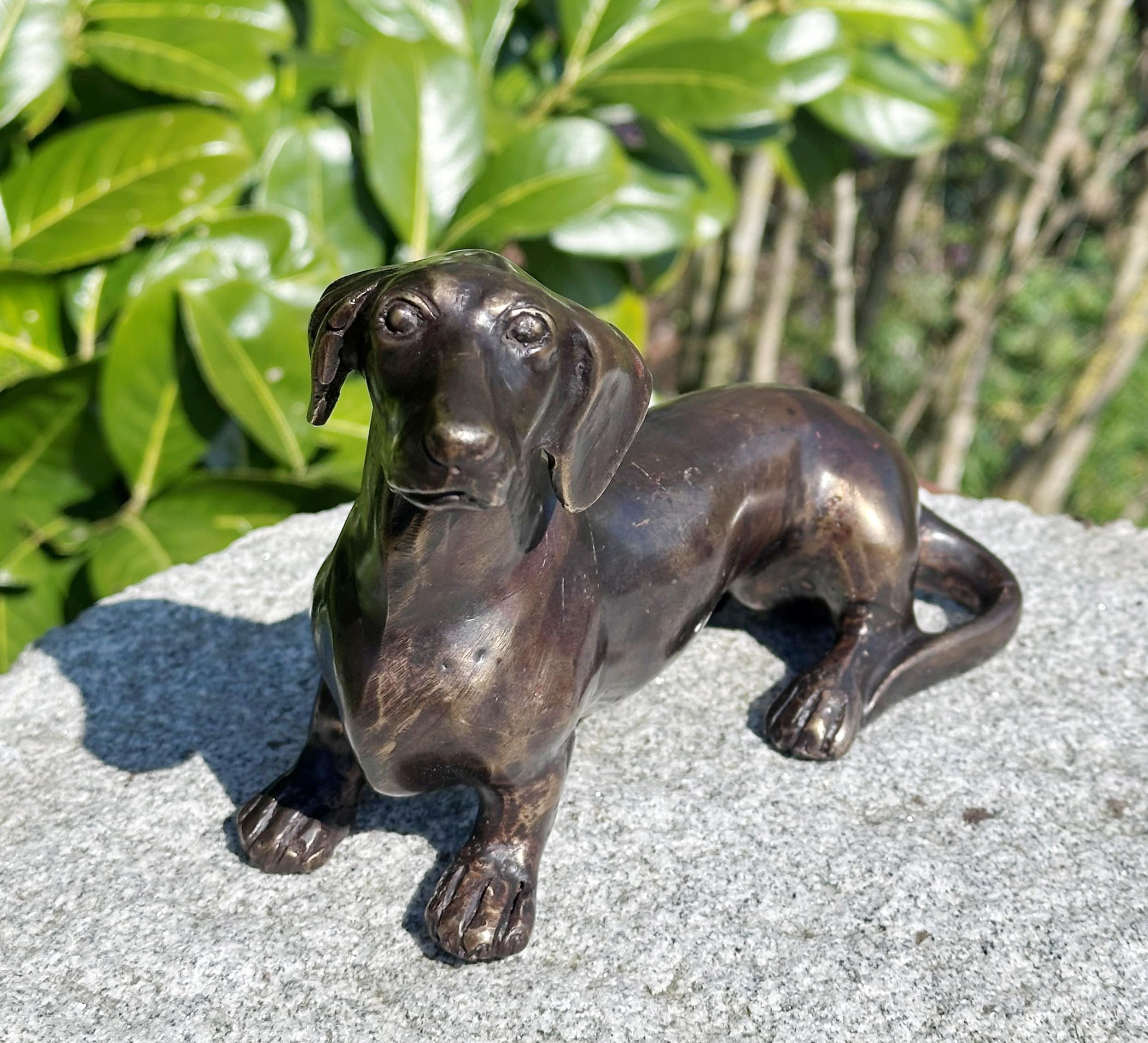 STEINFIGURENWELT GIEBEN Bronzefigur Dackel 12x20cm Dekoration aus Bronze Skulptur Tier Figur Deko Geschenk Bronzestatue Kurzhaardackel Wetterfest