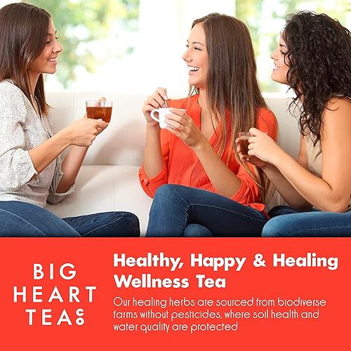 Miniatura 5 de Big Heart Tea Co. Bolsas de té Farmer's Chai - Té negro con cafeína de comercio directo en bolsitas de plástico cero con pequeños lotes de hierbas