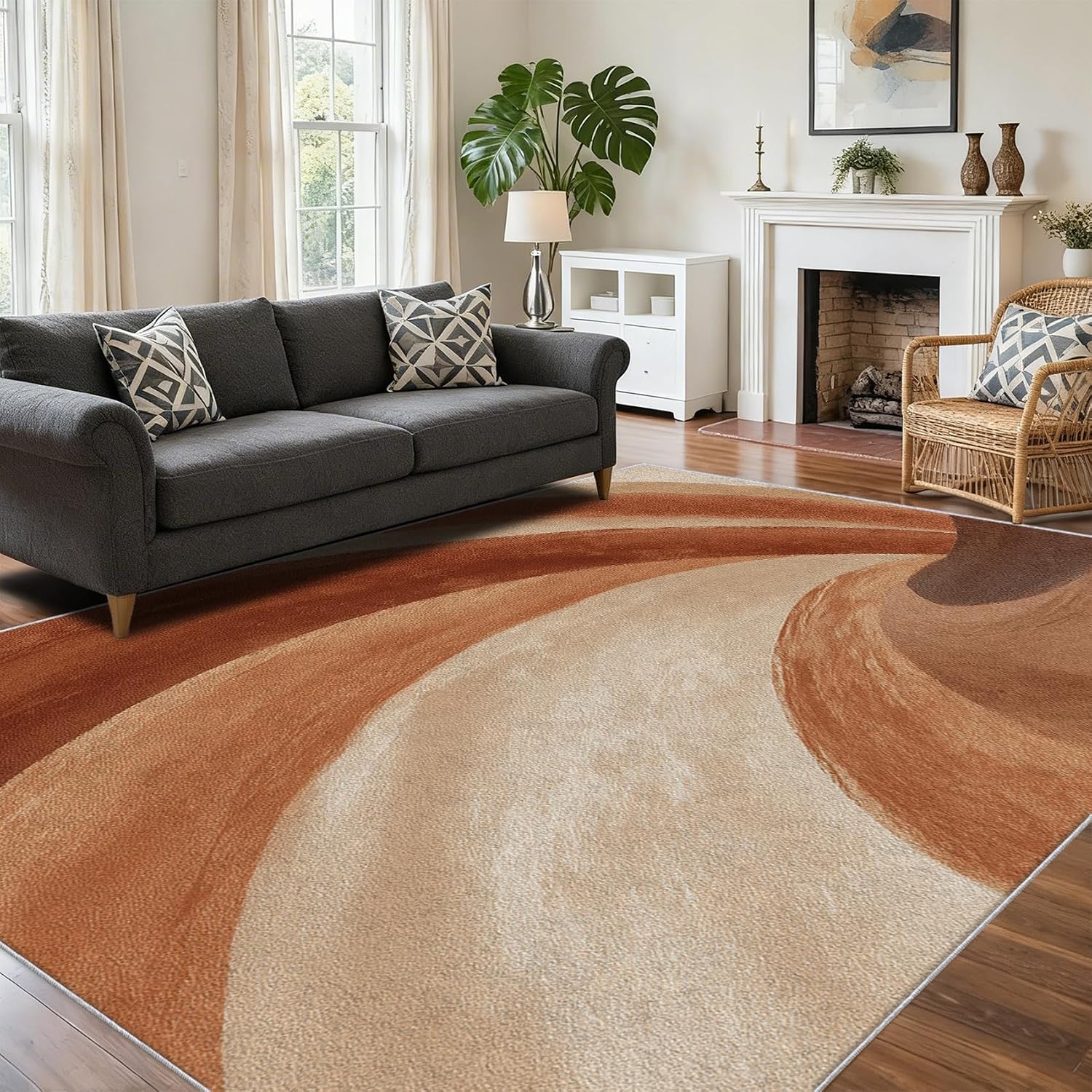 Abstract Swirl Rug for Living Room 4 x 6 ft, Washable Non Slip