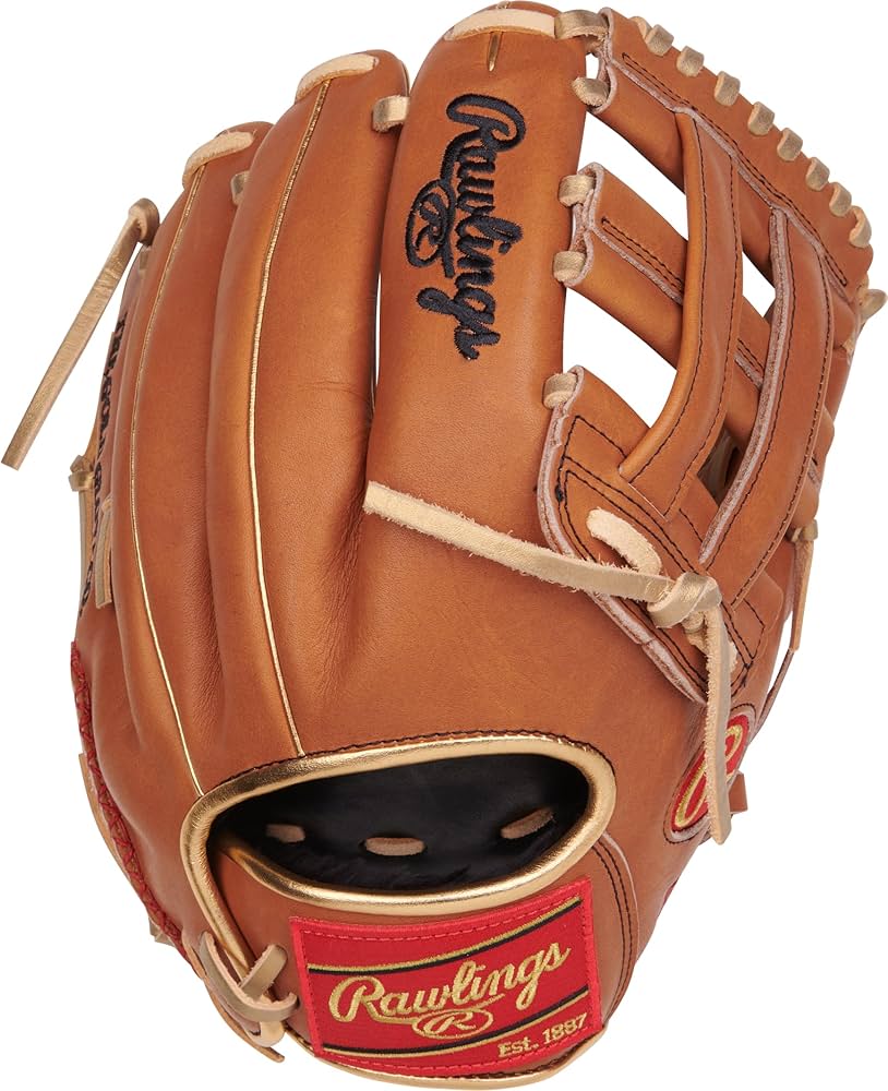 Rawlings 野球グローブ ブラウン 810SD0b5KzL._UF894,1000_QL80_.jpg