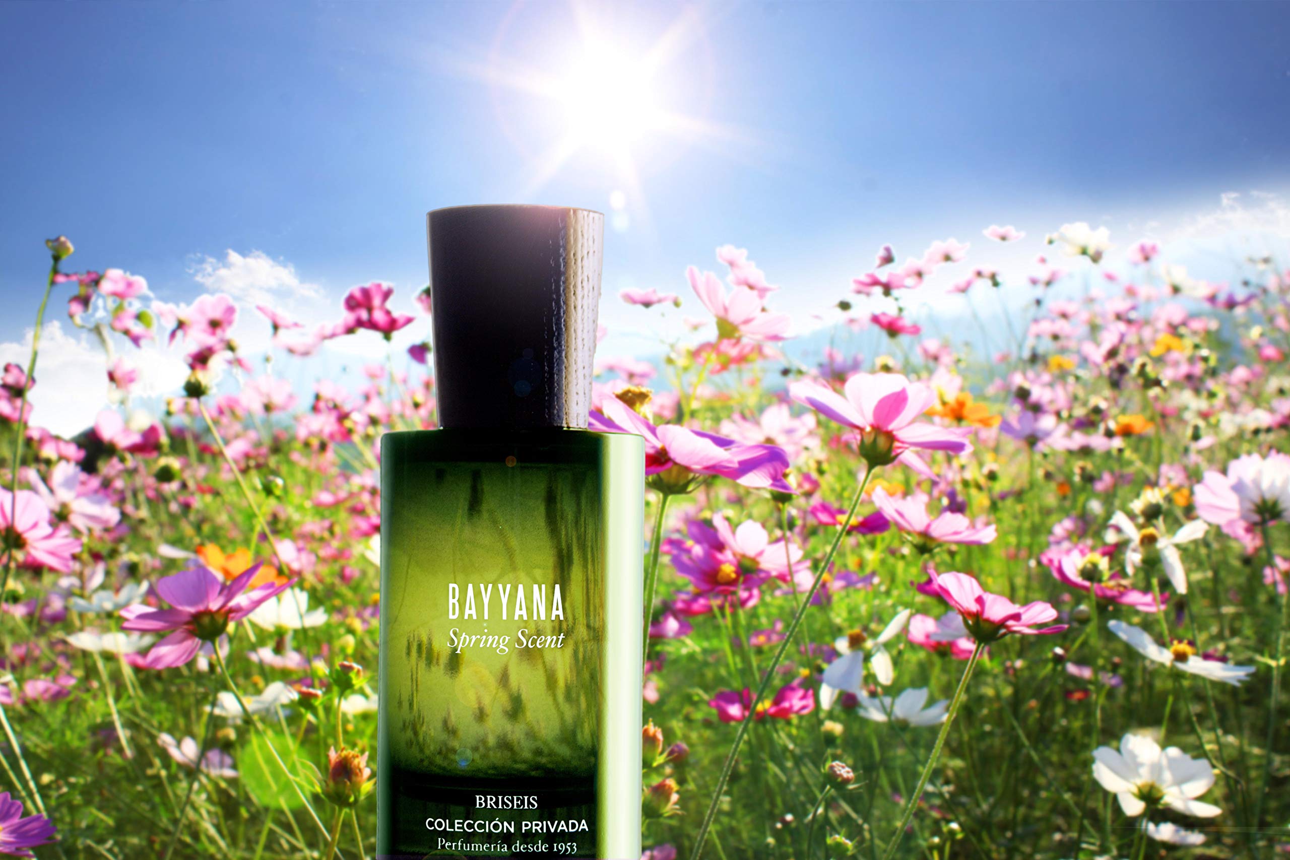 Tulipán Negro - Eau de Toilette Bayyana, Fragancia Elegante y Envolvente, Perfume Fresco y Duradero para Uso Diario