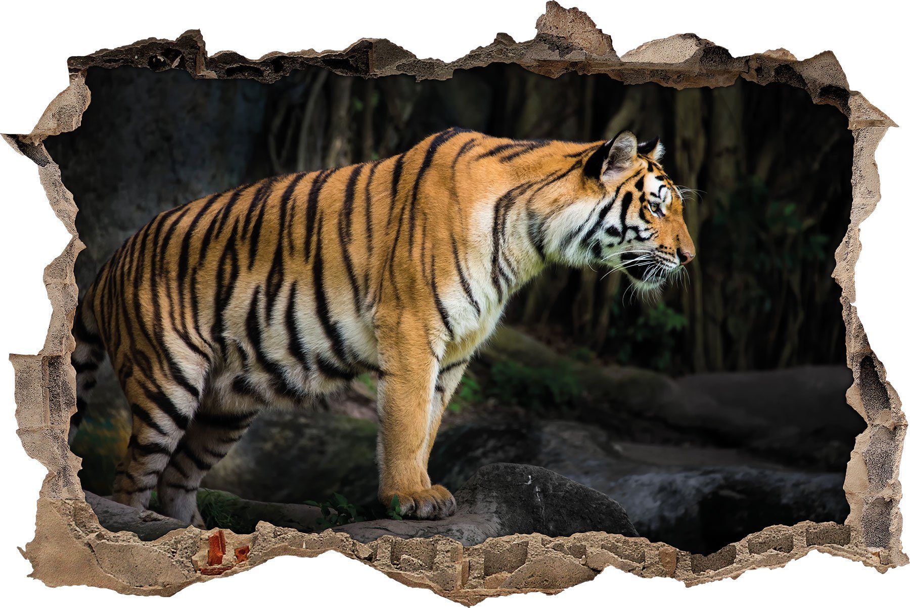 Pixxprint3D_WD_1749_62x42 Vigilant Tiger Wall Breakthrough 3D Wall Sticker, Vinyl, Colourful, 62 x 42 x 0.02 cm