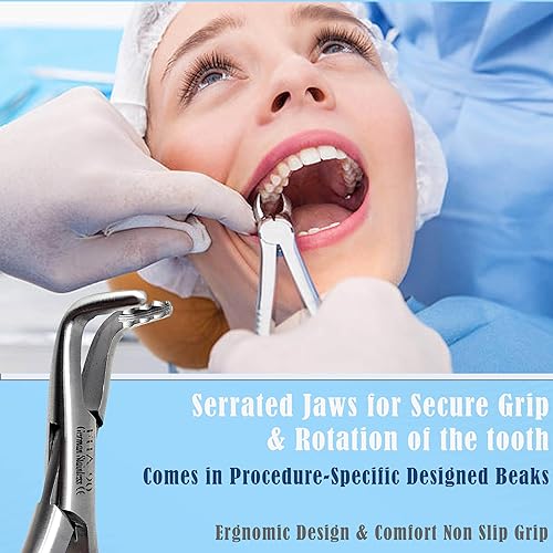 Vista 33 de Pinzas universales de extracción dental alemana, para extraer molares inferiores del hueso alveolar, mandíbulas dentadas, hechas de acero inoxidable