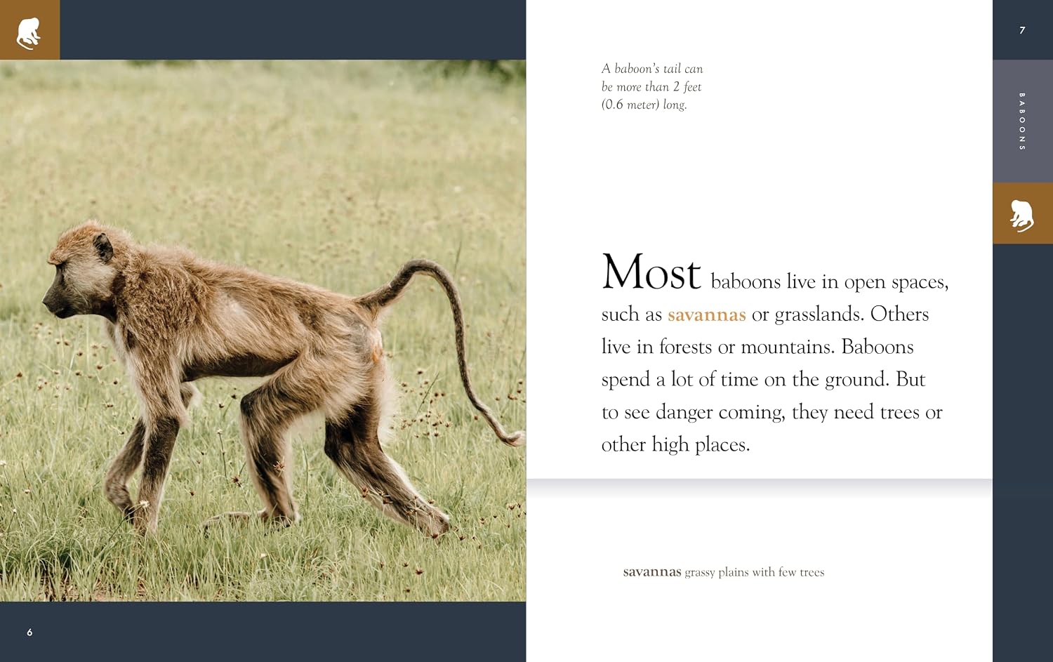 Baboons      Paperback – January 14, 2025