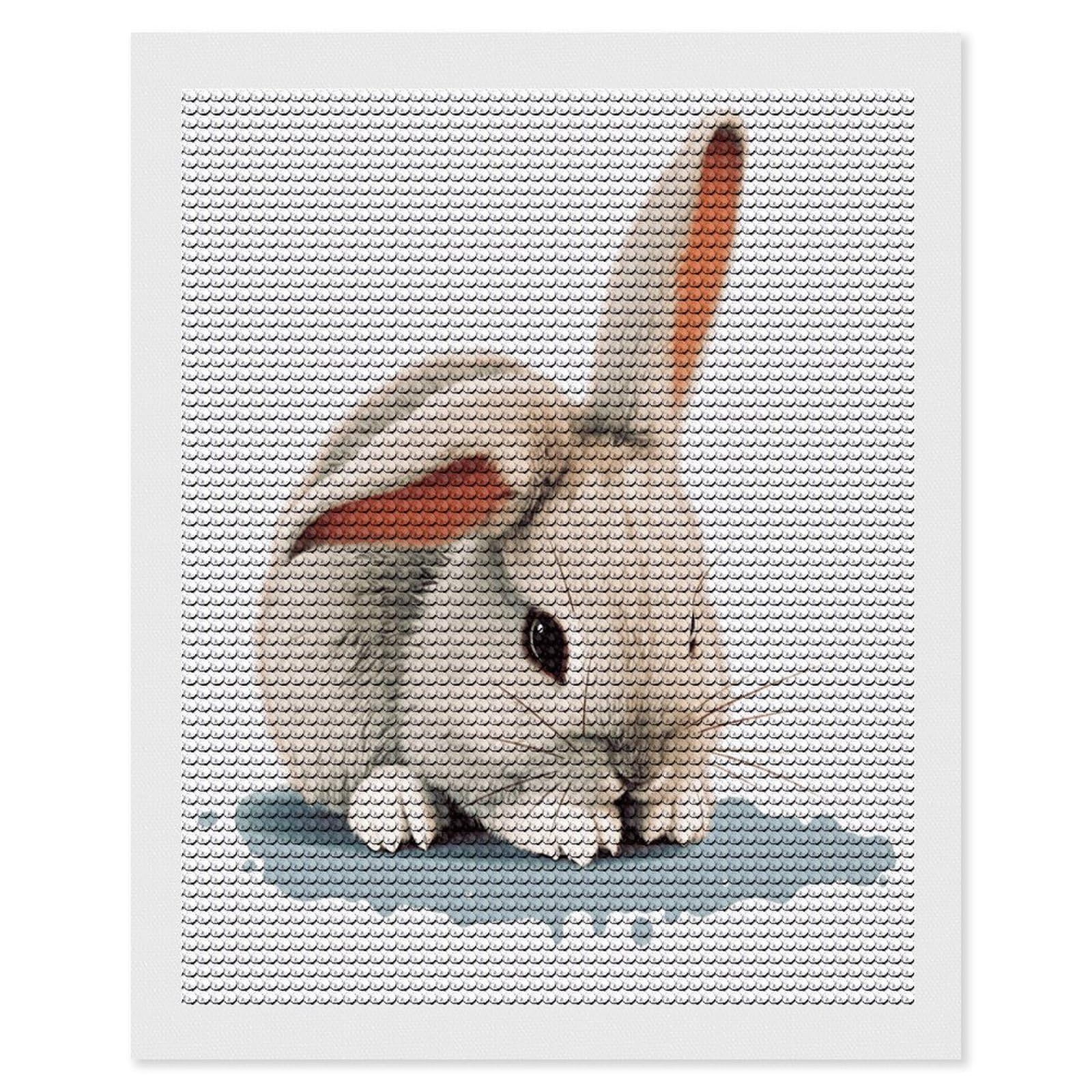 FekiLoot Cry Rabbit Diamond Art Kits for Adults Diamond Painting Kits for Beginners DIY Diamond Art Kits Round Full Drill Diamond Dot Gem Painting for Home Wall Decor Gift 16"x20"