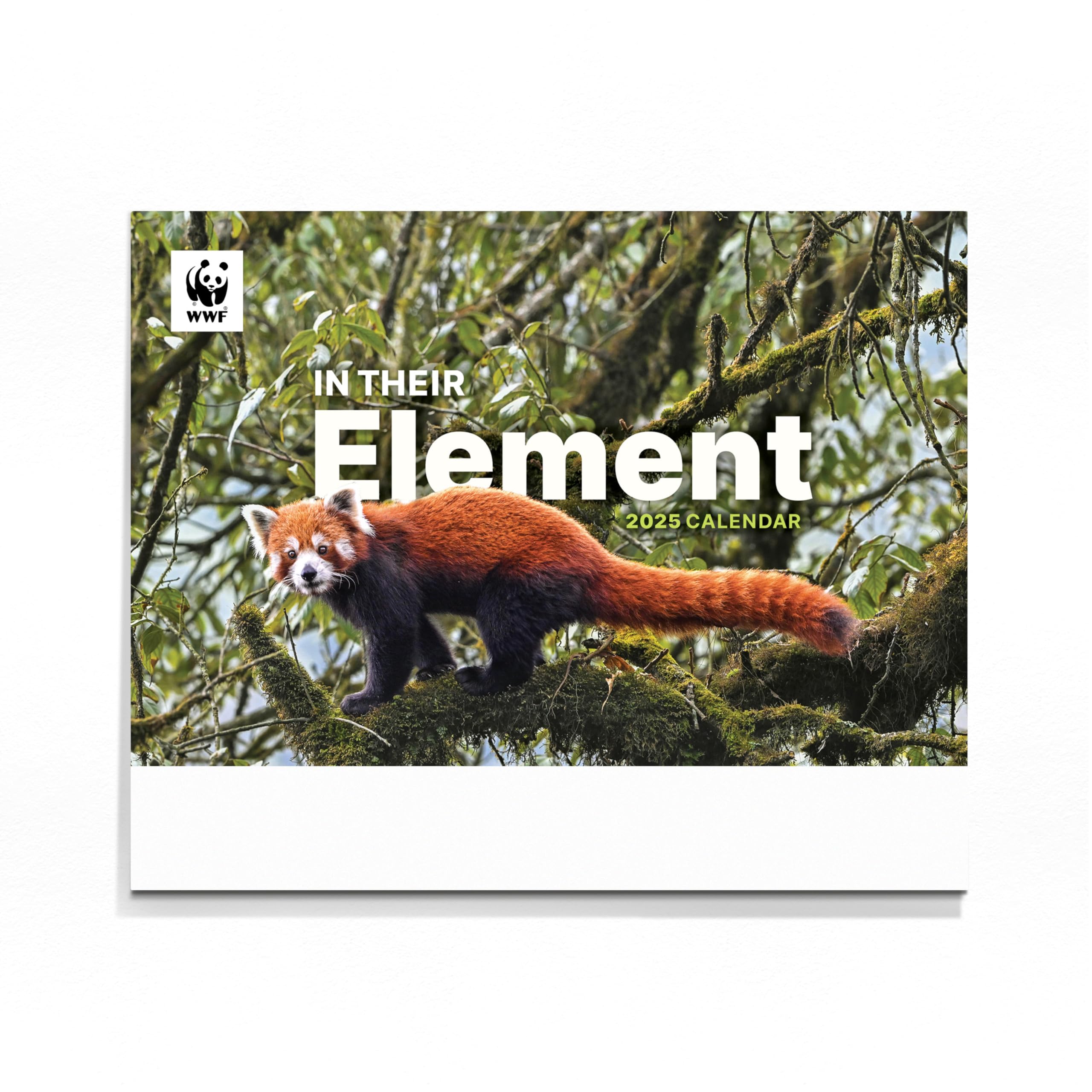 WWF-India | 2025 Wall Calendar - In their Element
