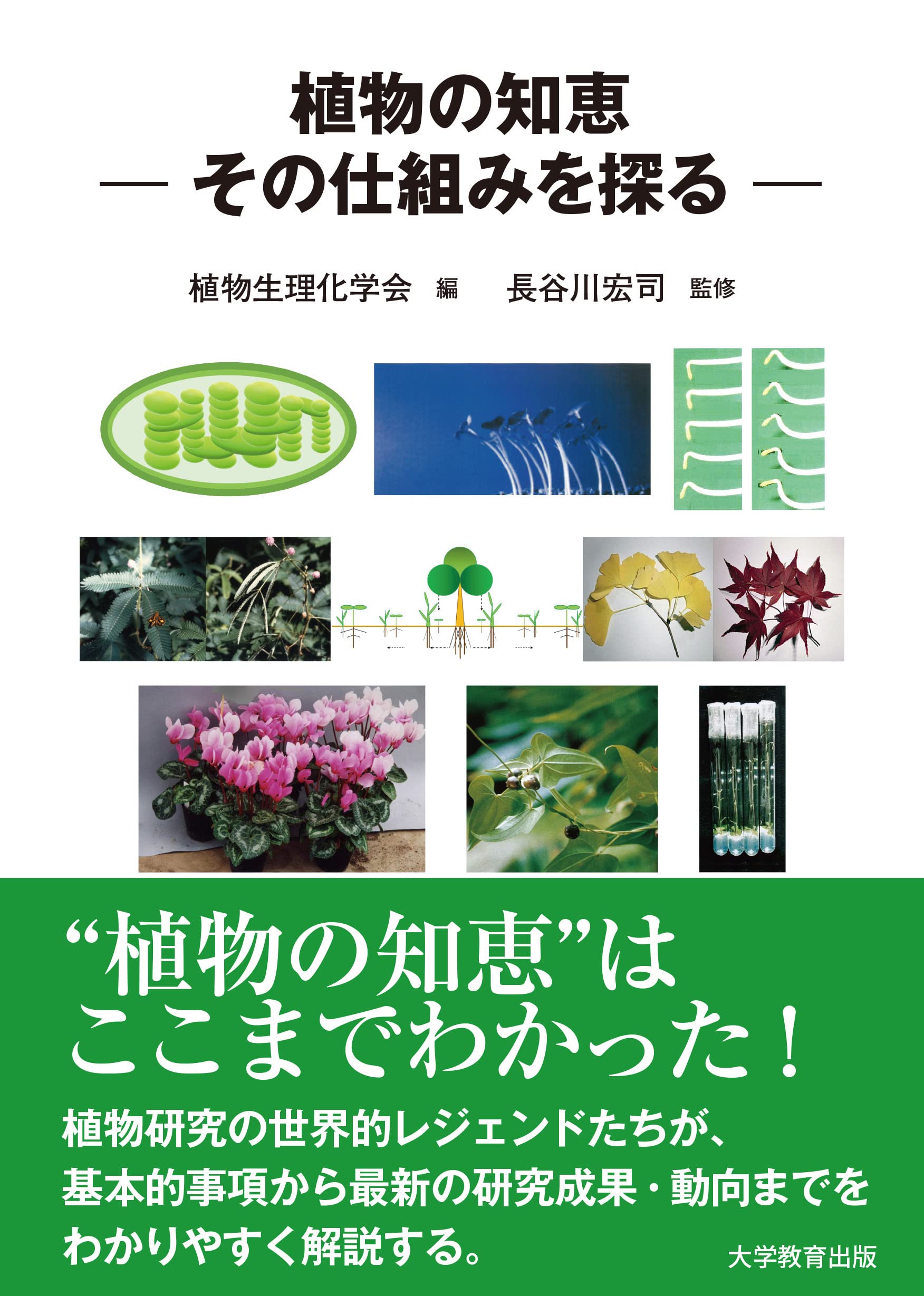 植物生理学 植物生理学 第2版 (基礎生物学テキストシリーズ7) | 三村徹郎