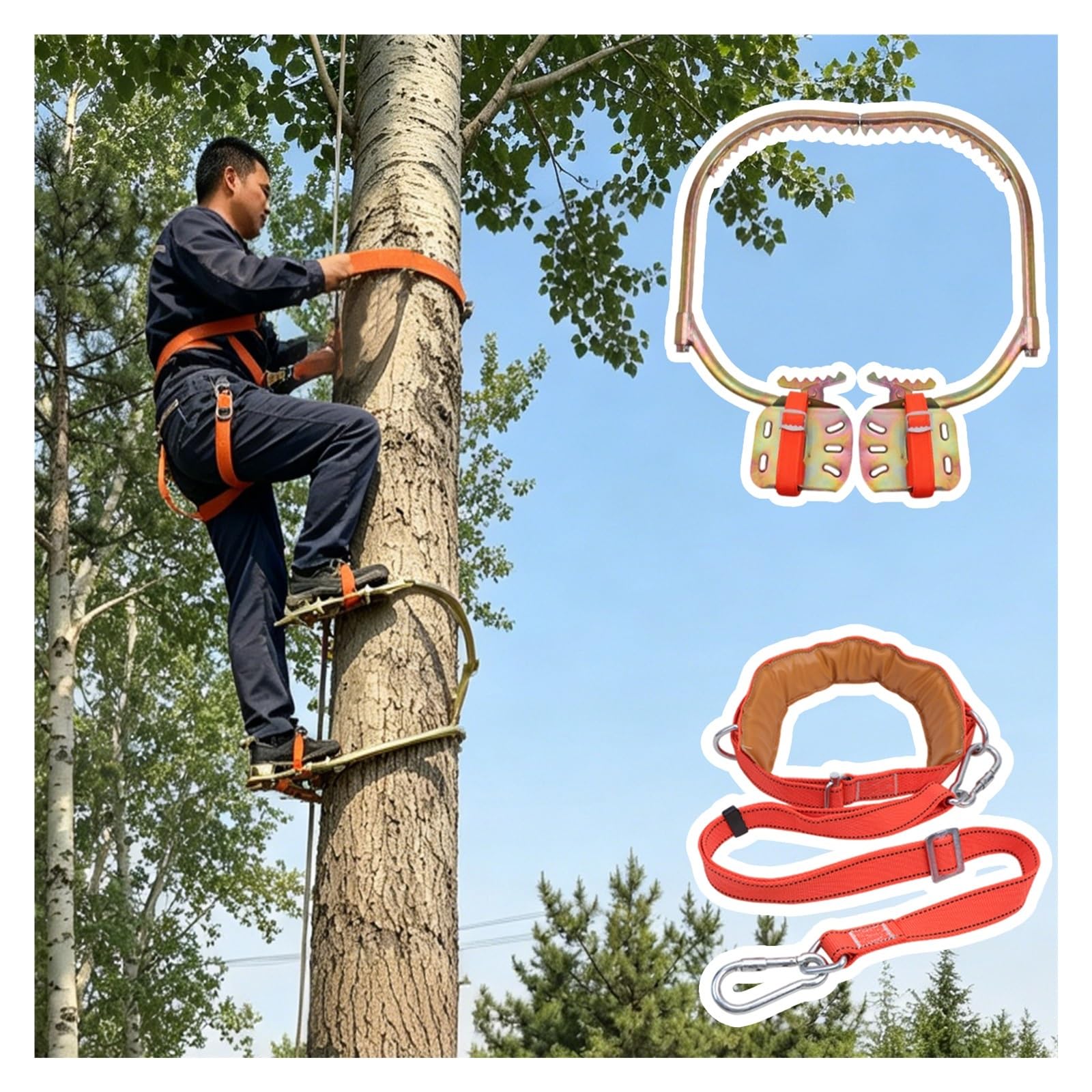 AMUFJJ Professional Tree Climbing Gear Kit Complete Set, Arborists/Fruit Pickers Pole Climbe Shoes Spikes with Anti-Slip Foot Pedals(Type 450mm (17.7"))