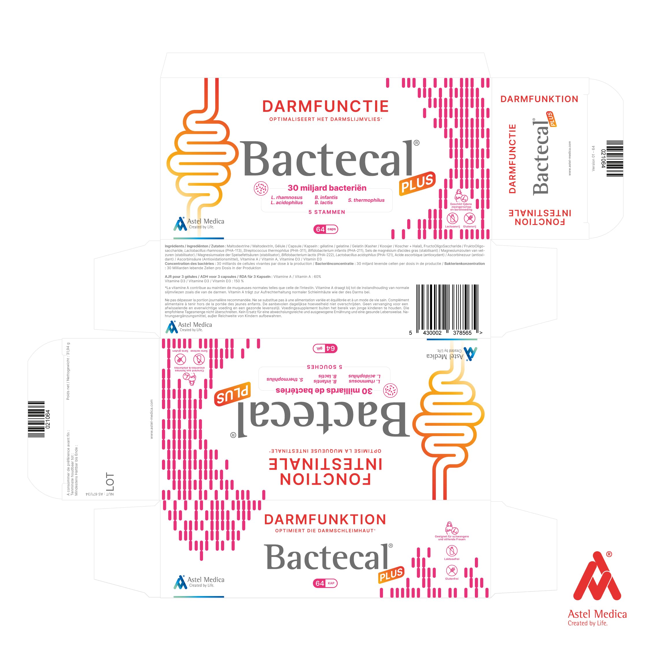 PLUS - Soutien digestif et immunitaire & Restauration de la flore intestinale - Probiotiques - Complément alimentaire - 64 gélules