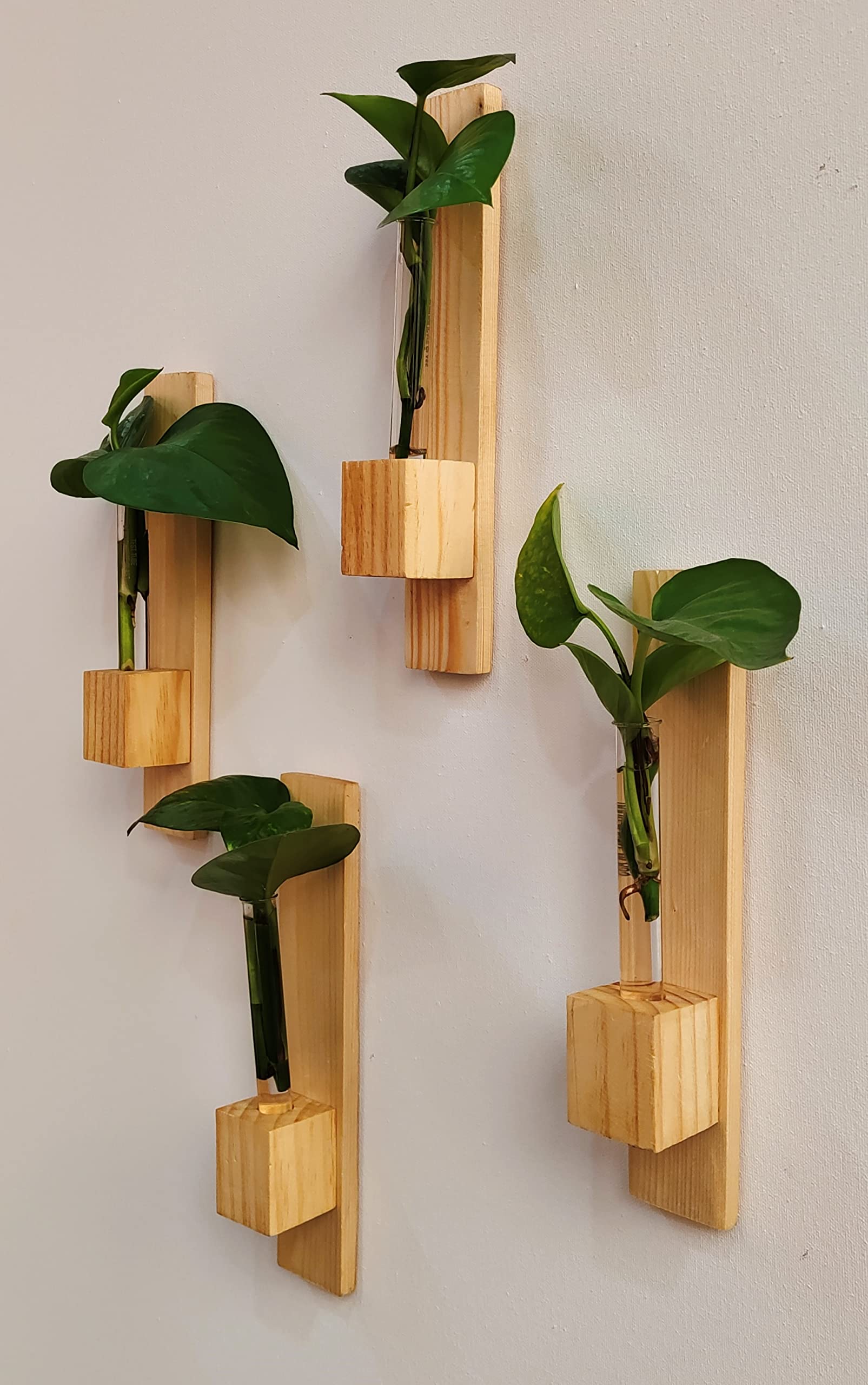 Queens Canvas Test Tube Planter Pack of 4| Pine Wood | Stick to Wall | Hanging Planters | Living Room | Balcony and Home Decor | Wall Hangingplants Brown (B09XN9D4QW) Amazon Price History, Amazon Price Tracker