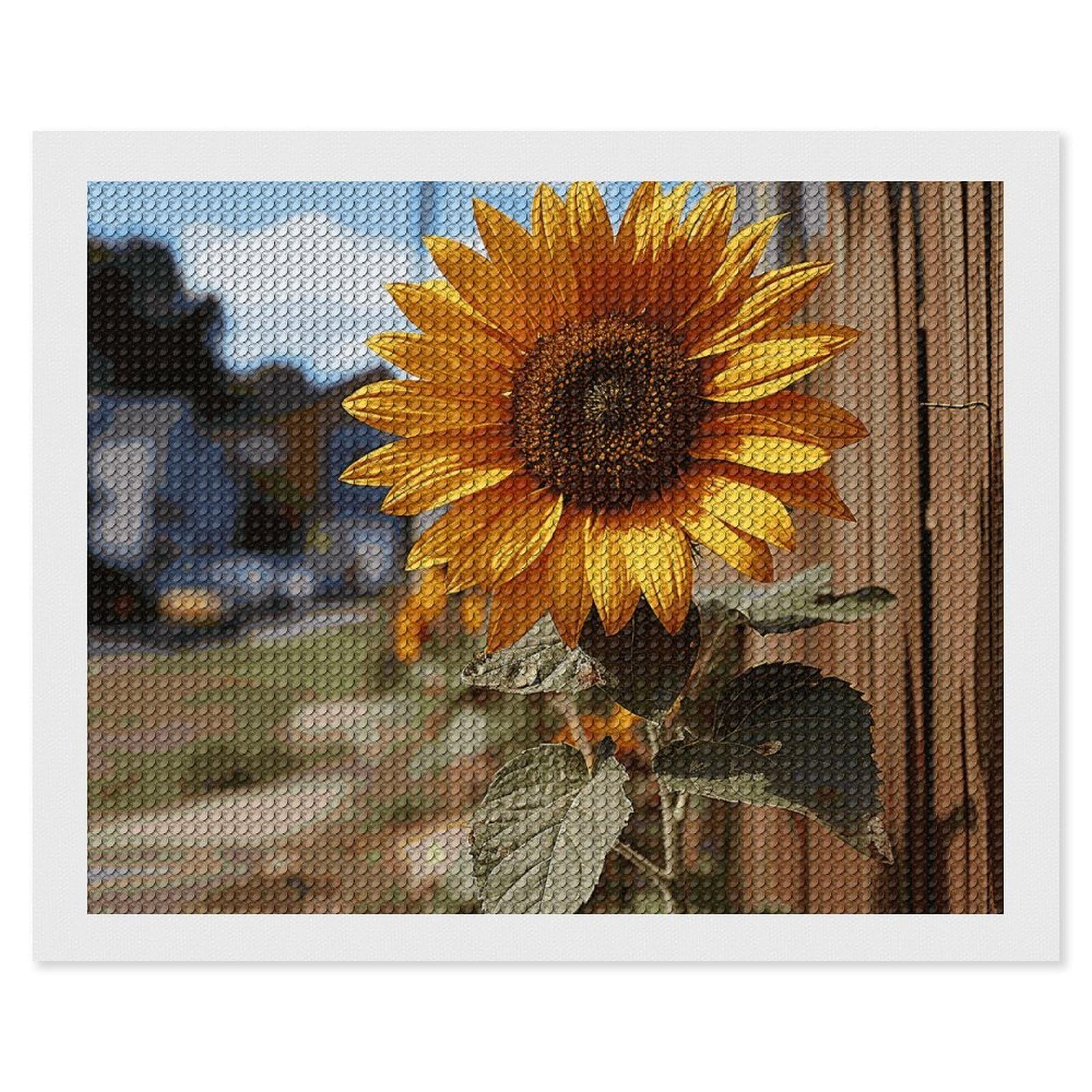 NONHAI Diamond Painting Kits for Adults - DIY Diamond Art Kits for Beginners - Full 5D Paint Drill Diamond Dots Paintings- Farm Sunflower Diamonds Pictures Gem Art and Craft Wall Decor 16"x20"