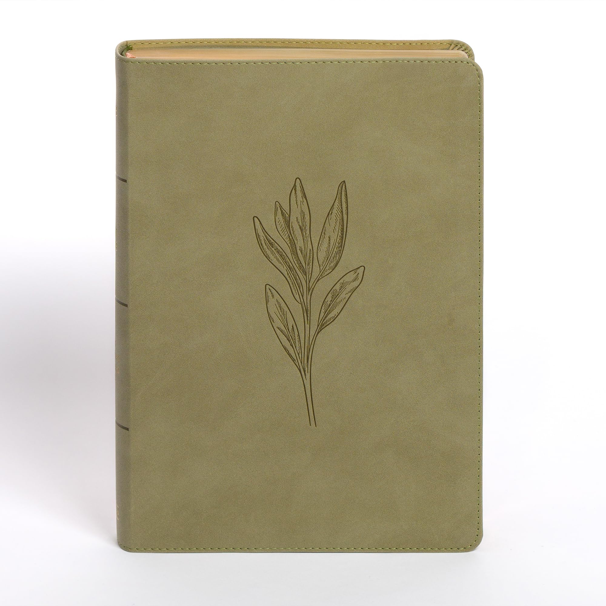 NASB Super Giant Print Reference Bible, Sage Suedesoft, Indexed
