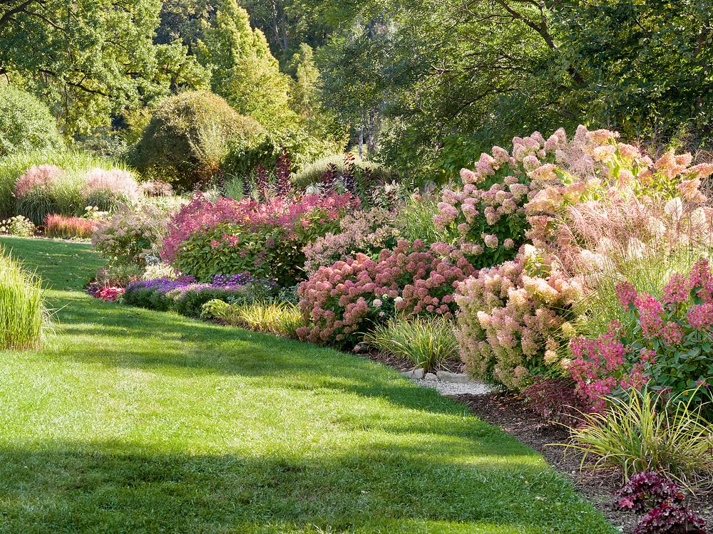 Hardy Low Maintenance Shrubs