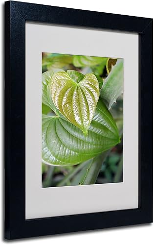 Trademark Fine Art Patty Tuggle - Arte enmarcado de corazones naturales con marco negro, 11 x 14 pulgadas