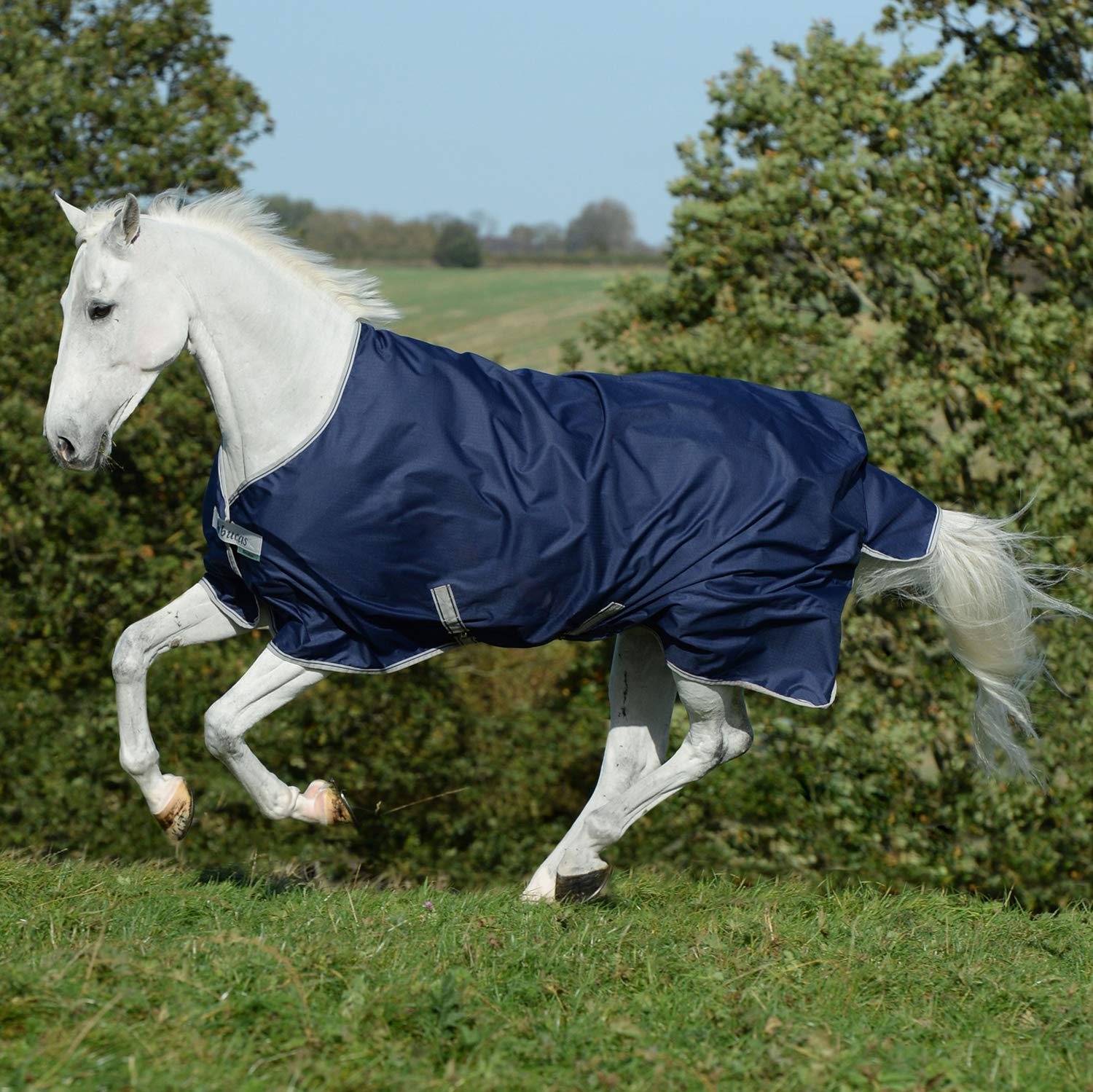 Bucas Freedom Turnout 165 - Manta para Caballo (150 g), Color Azul Marino y Plateado