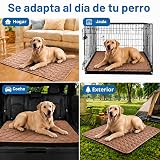 Ver la foto 7