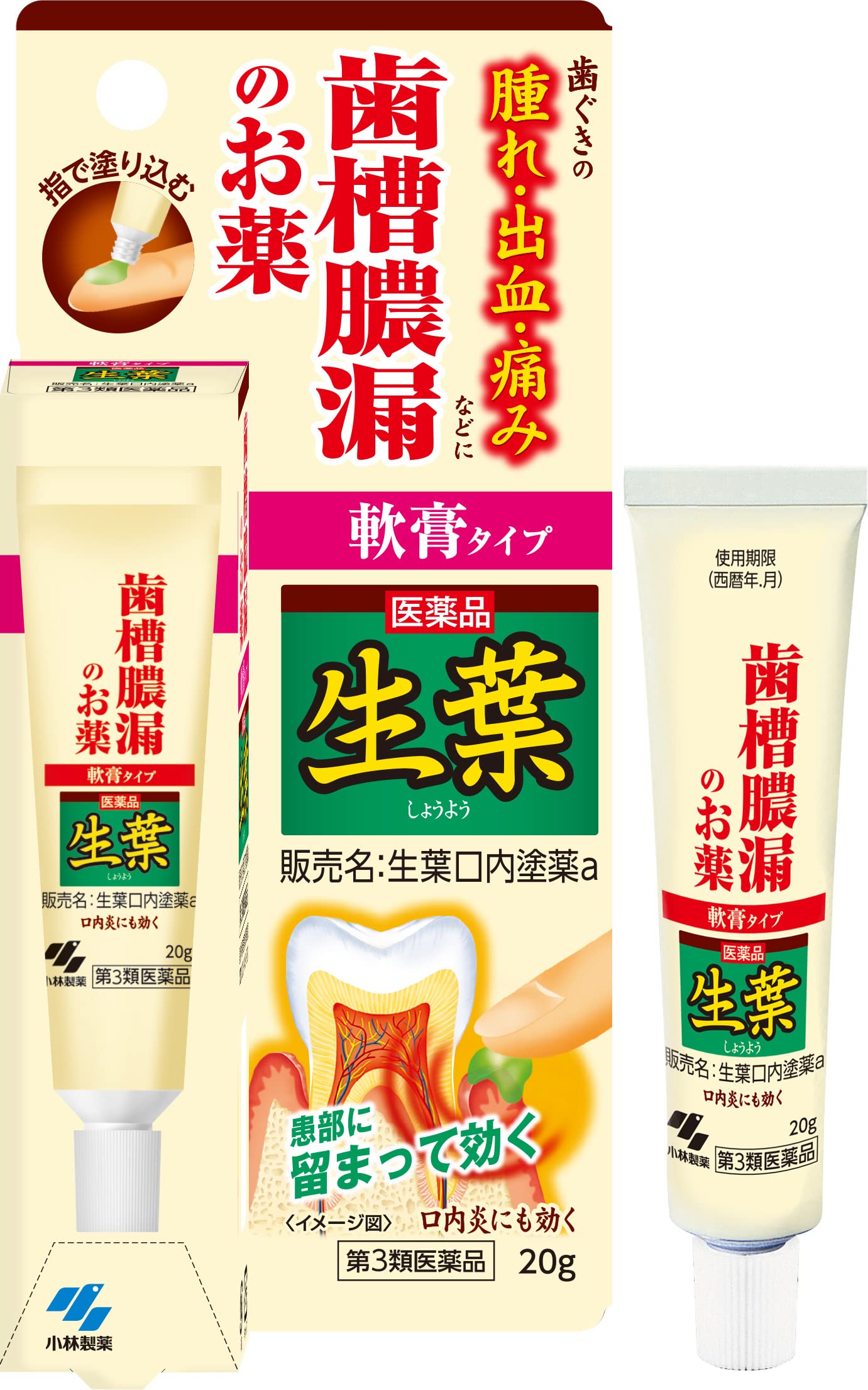 小林製薬 第3類医薬品 生葉（しょうよう）口内塗薬 20gの商品画像