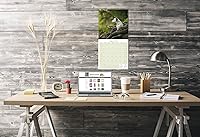 Vista 269 de Razas de Perros 2017