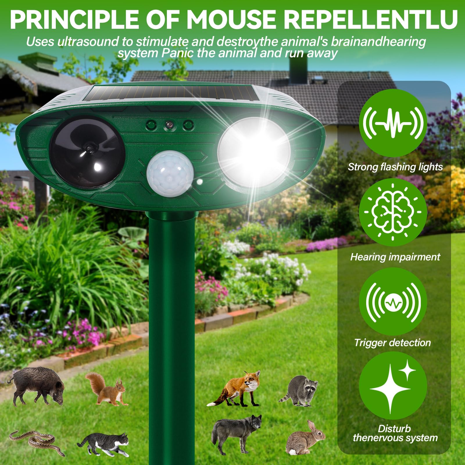 Ahuyentador de Gatos Exterior, Ultrasónico Repelente de Zorros Solar con Luz LED, 8m 120° IPX4 Impermeable Aullentador de Animales para Gatos Zorros Martas Mapaches Perros