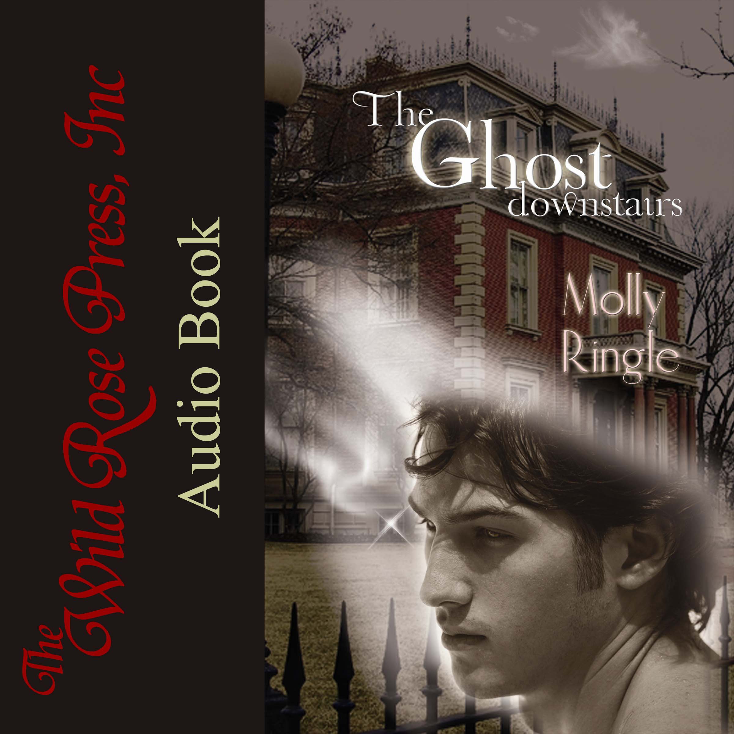 The Ghost Downstairs